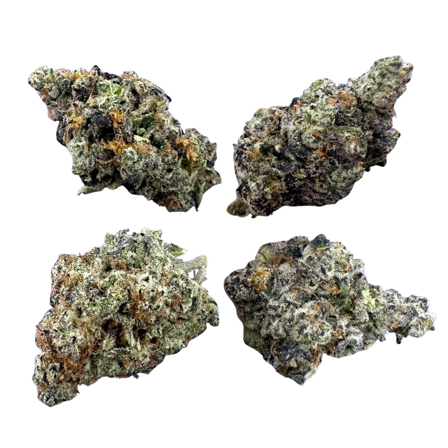 White Rhino