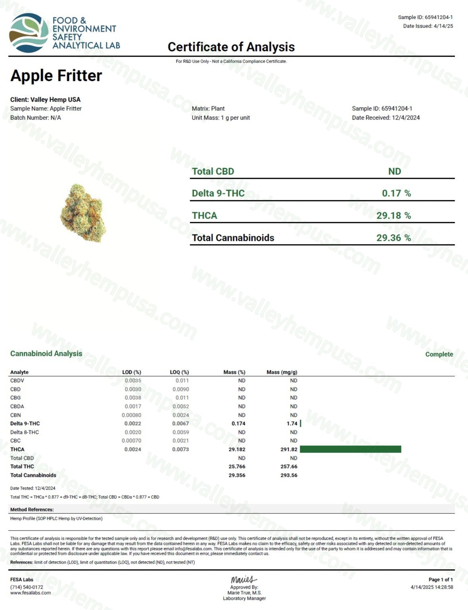 Apple Fritter ( Wholesale ) - VALLEY HEMP