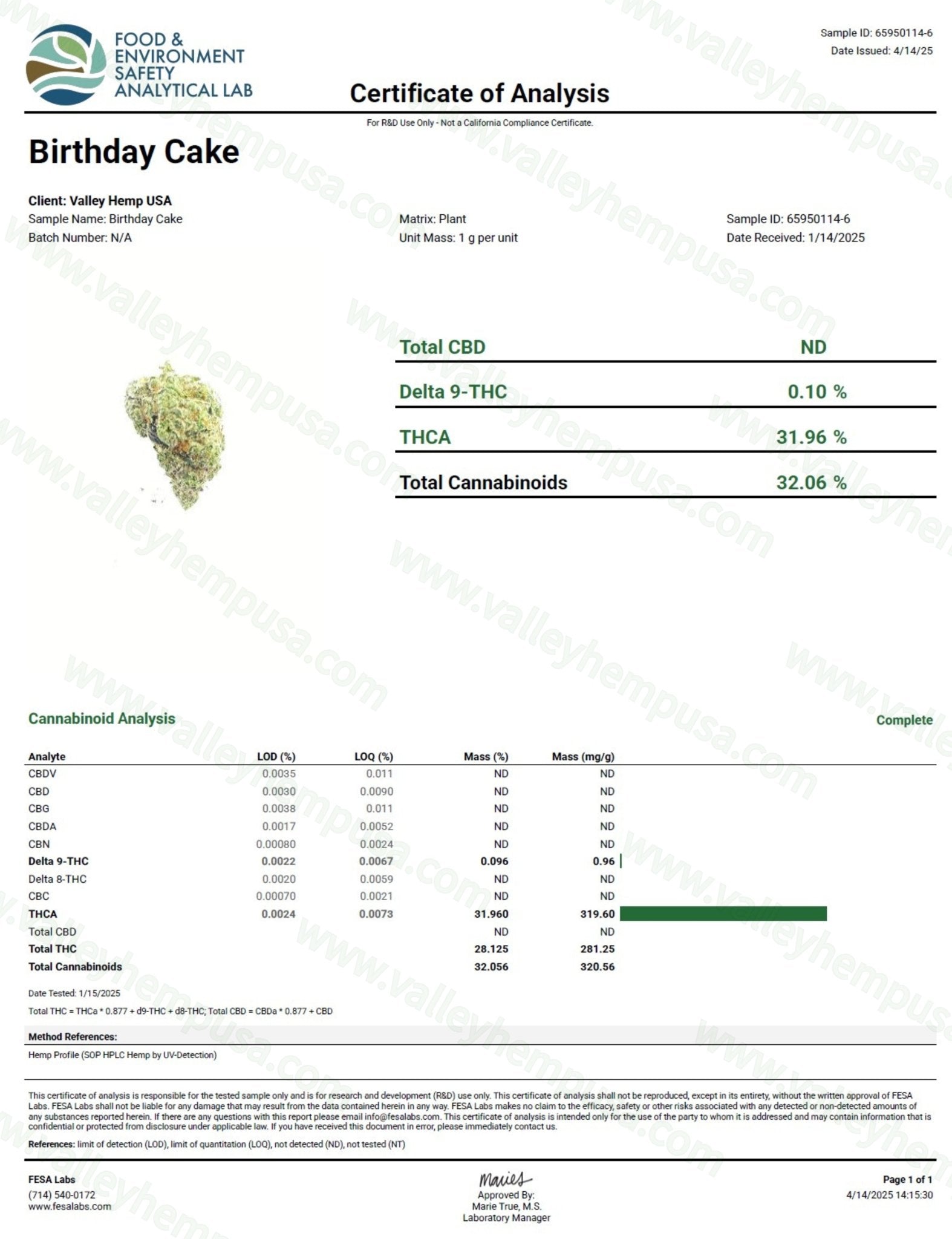 Birthday Cake - VALLEY HEMP