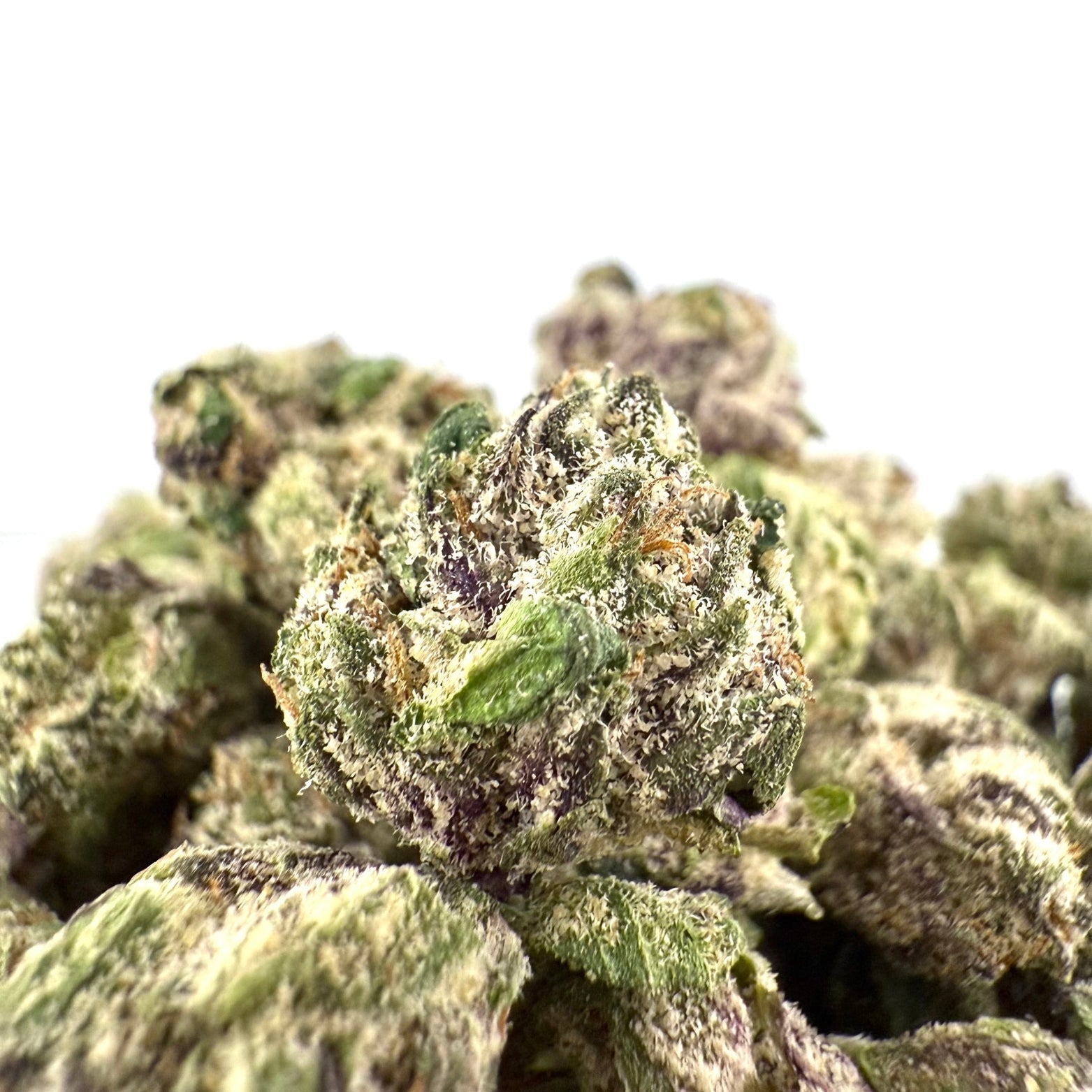 Blackberry Runtz THCa Smalls (Wholesale) - Valley Hemp