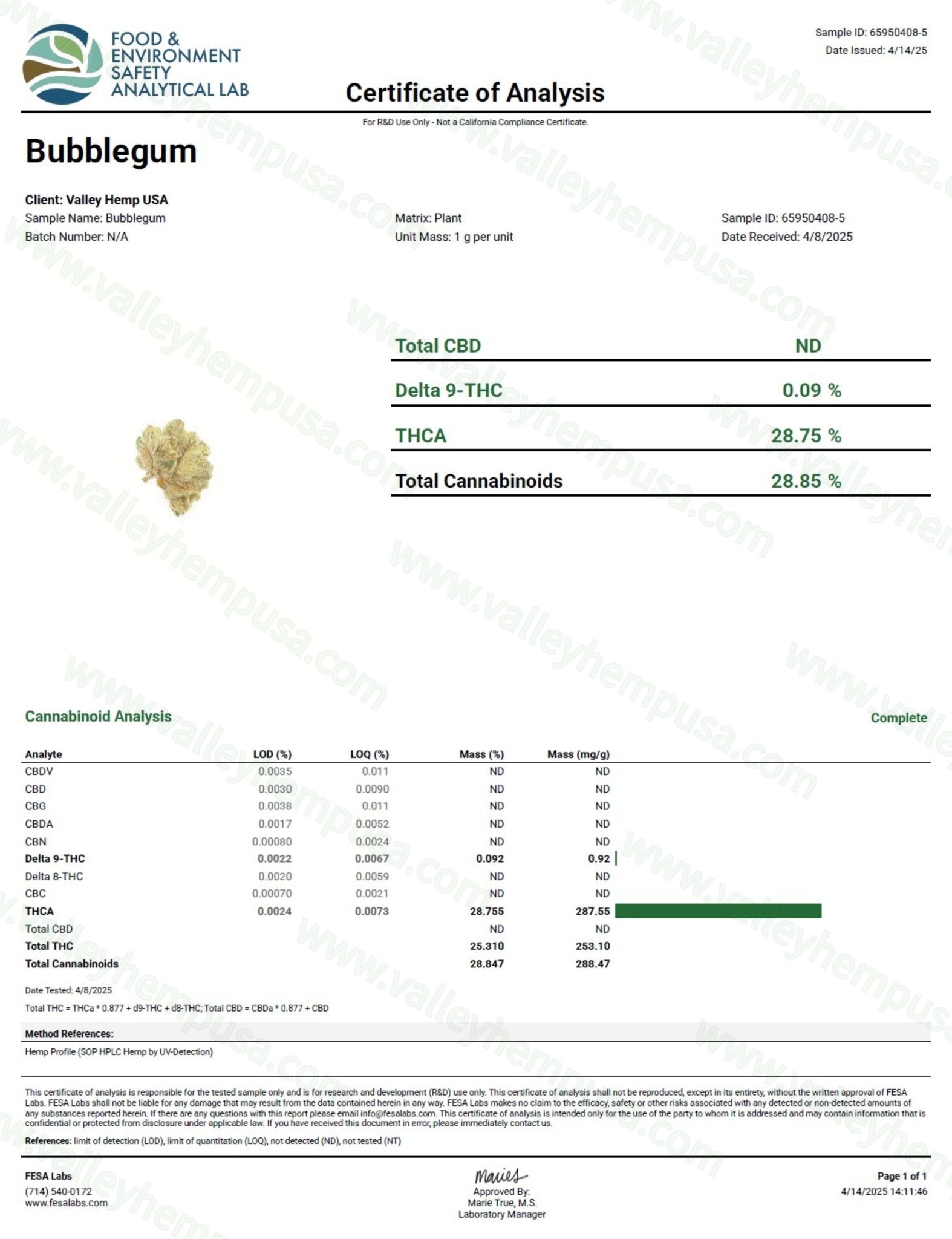 Bubblegum - Valley Hemp