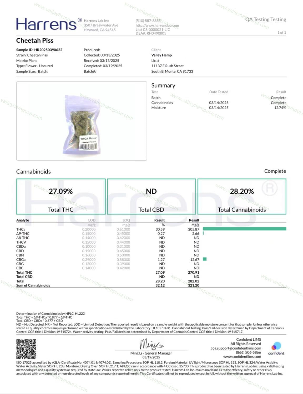 Cheetah Piss (Wholesale) - VALLEY HEMP