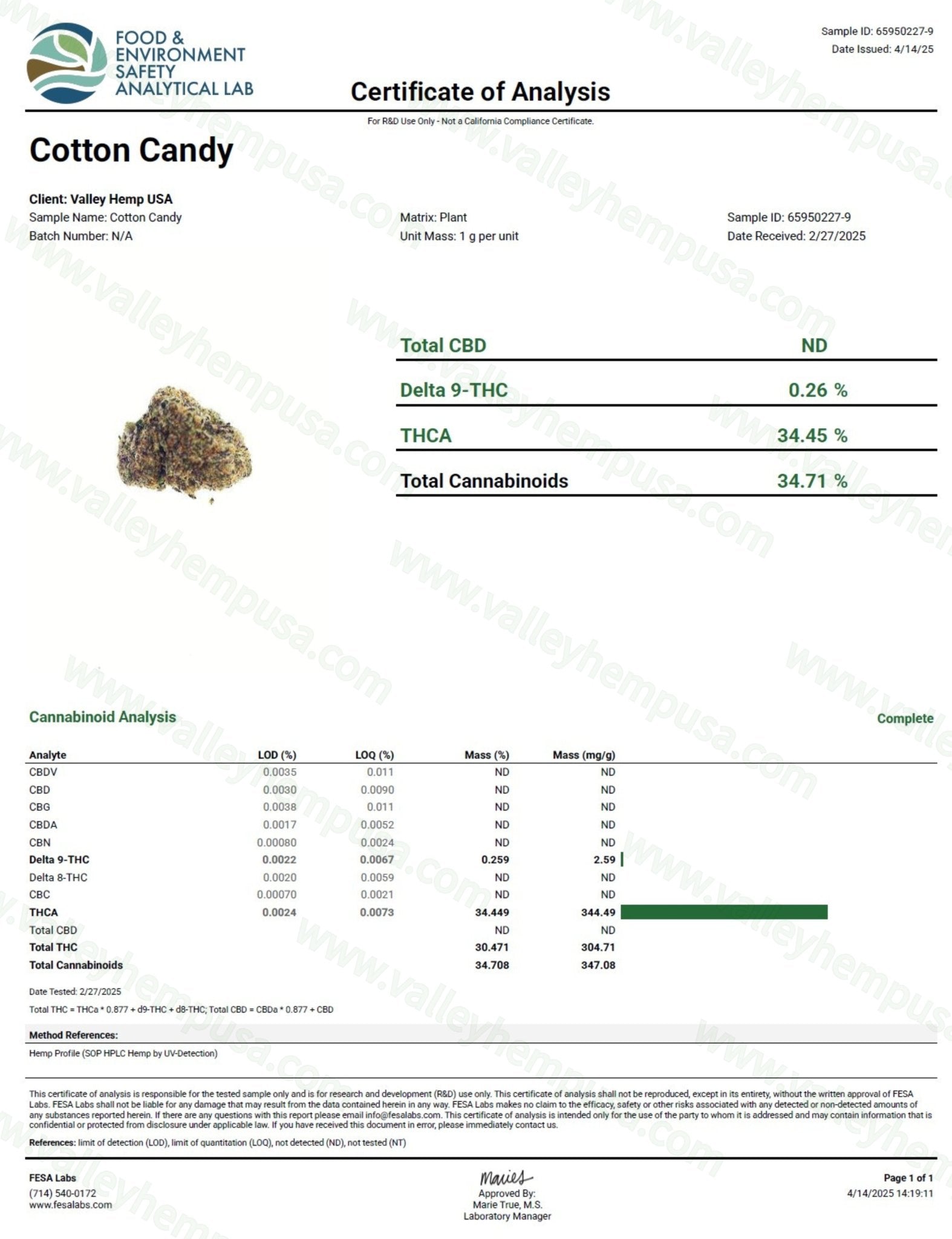 Cotton Candy (Wholesale) - VALLEY HEMP