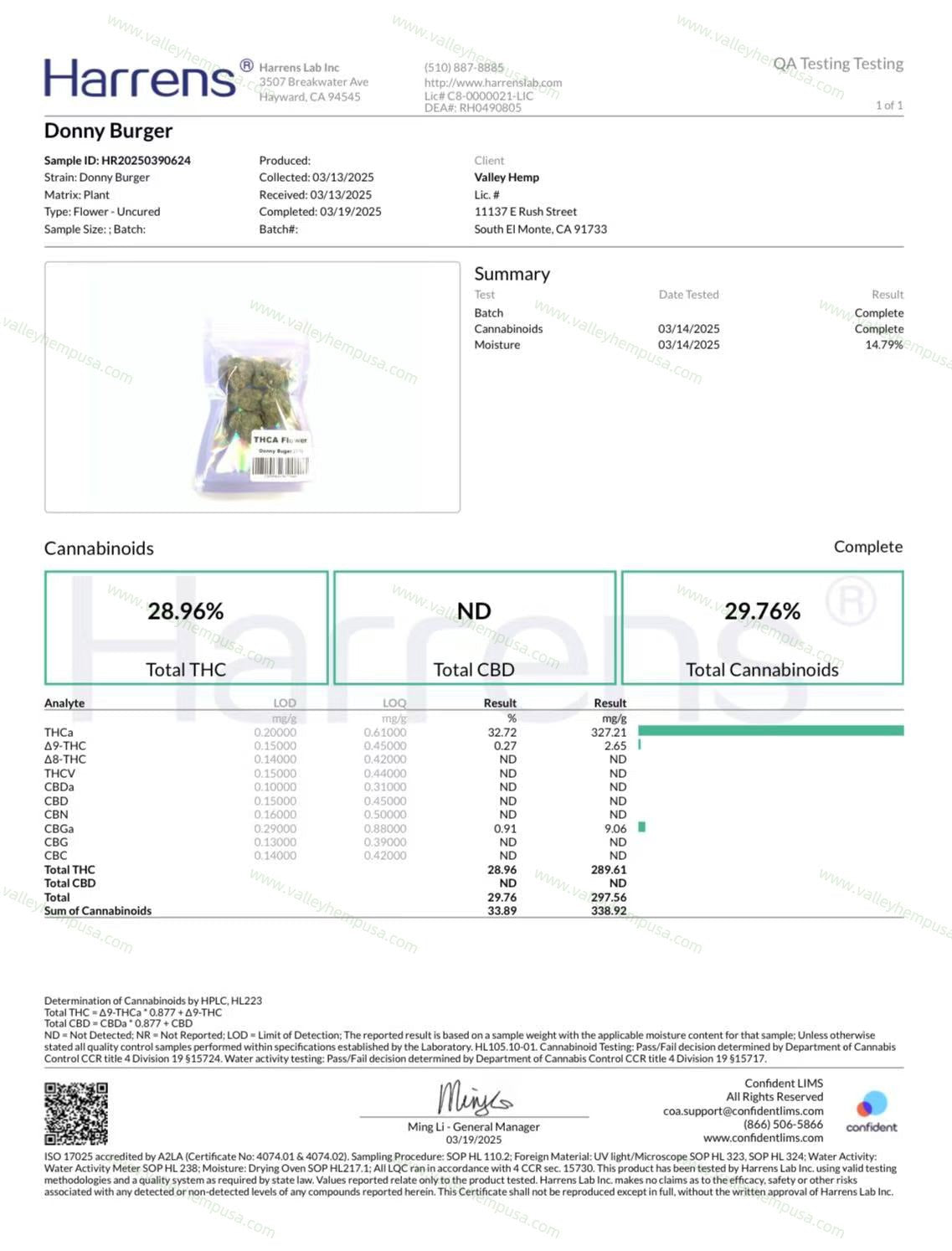 Donny Burger ( Wholesale ) - VALLEY HEMP