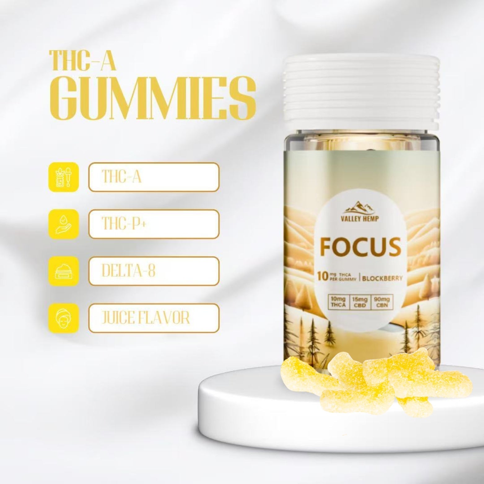 Focus Bundle - Valley Hemp