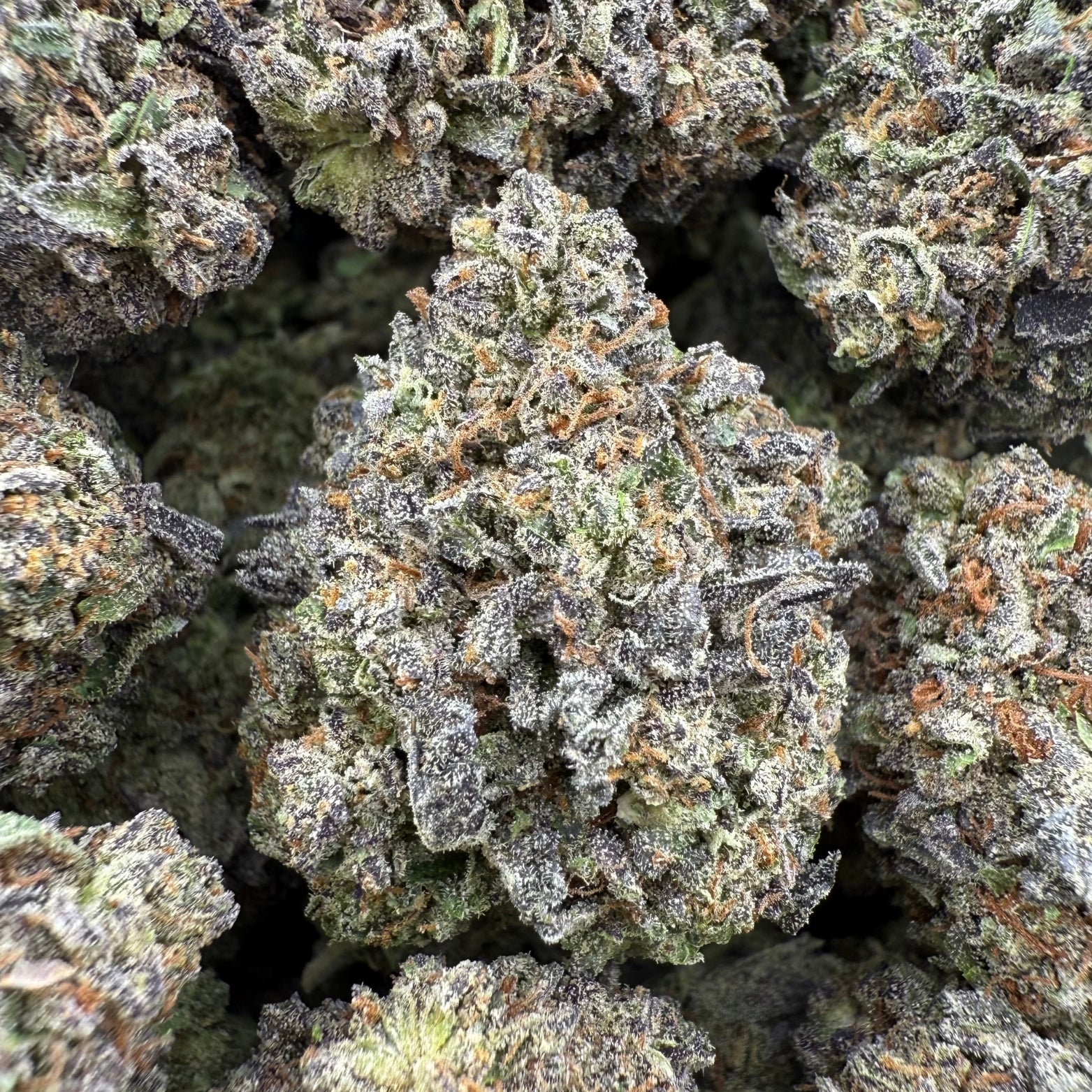 Frosted Flakes - Valley Hemp