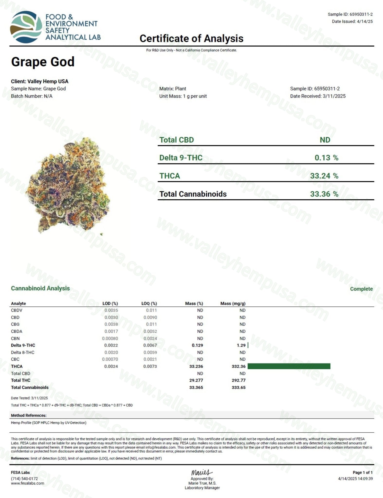 Grape God - VALLEY HEMP