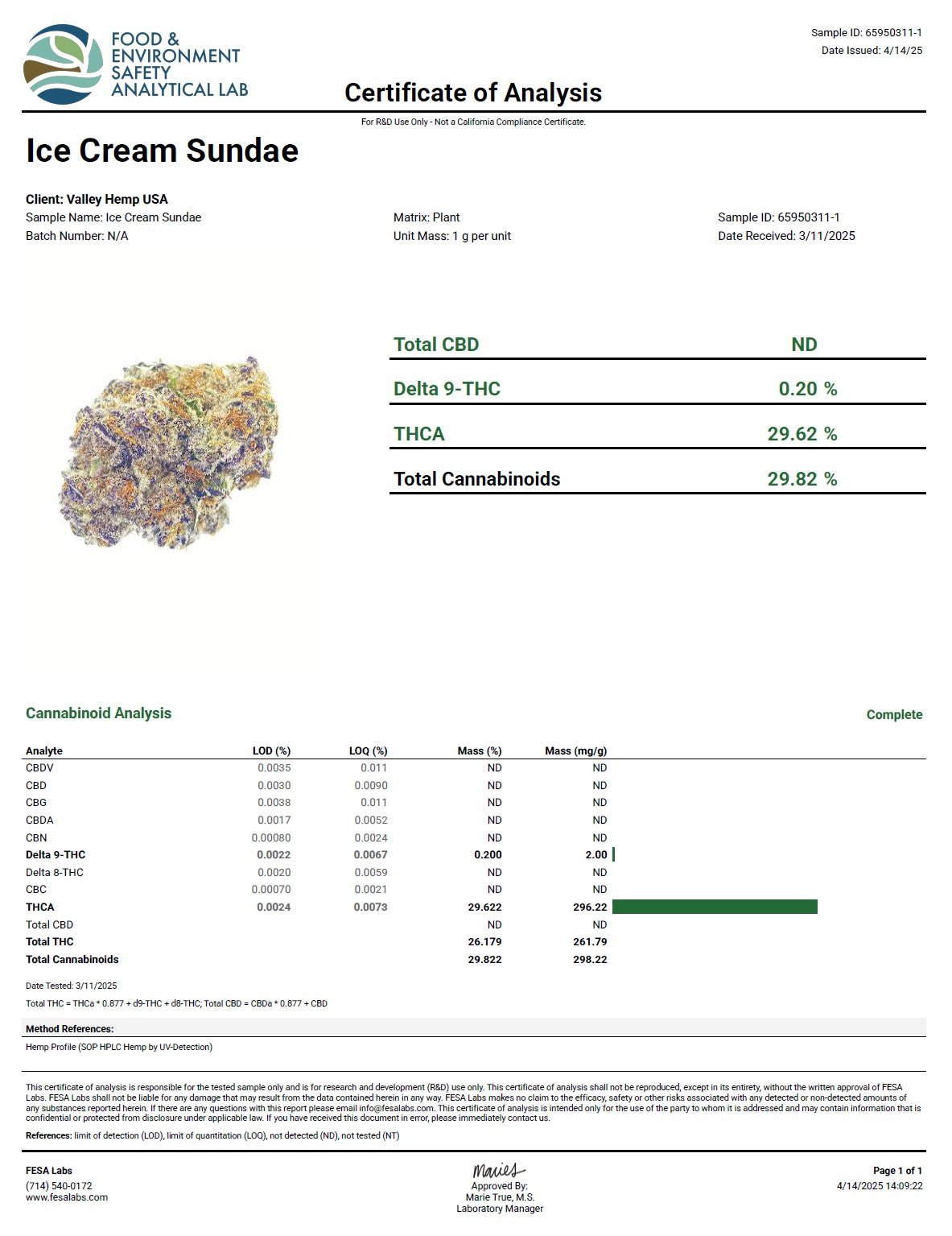 Ice Cream Sundae ( Wholesale ) - VALLEY HEMP