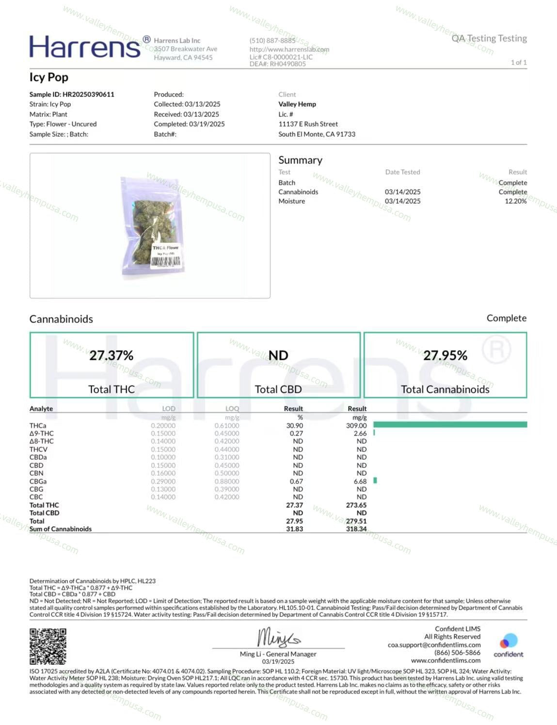 Icy Pop (Wholesale) - VALLEY HEMP