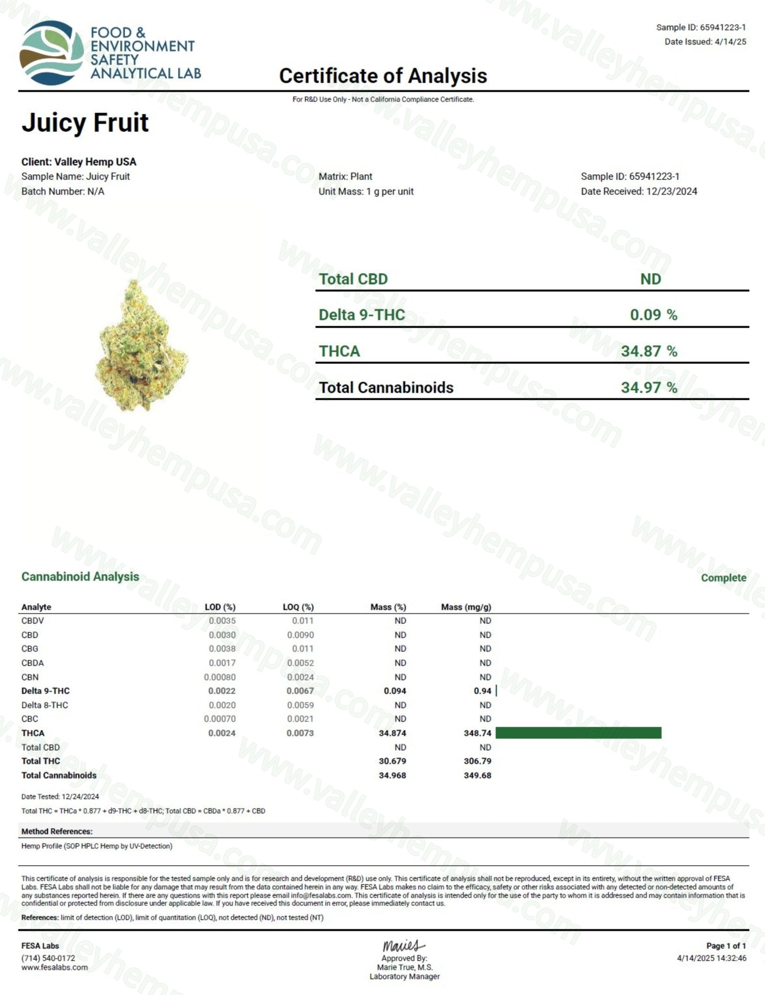 Juicy Fruit (Wholesale) - VALLEY HEMP