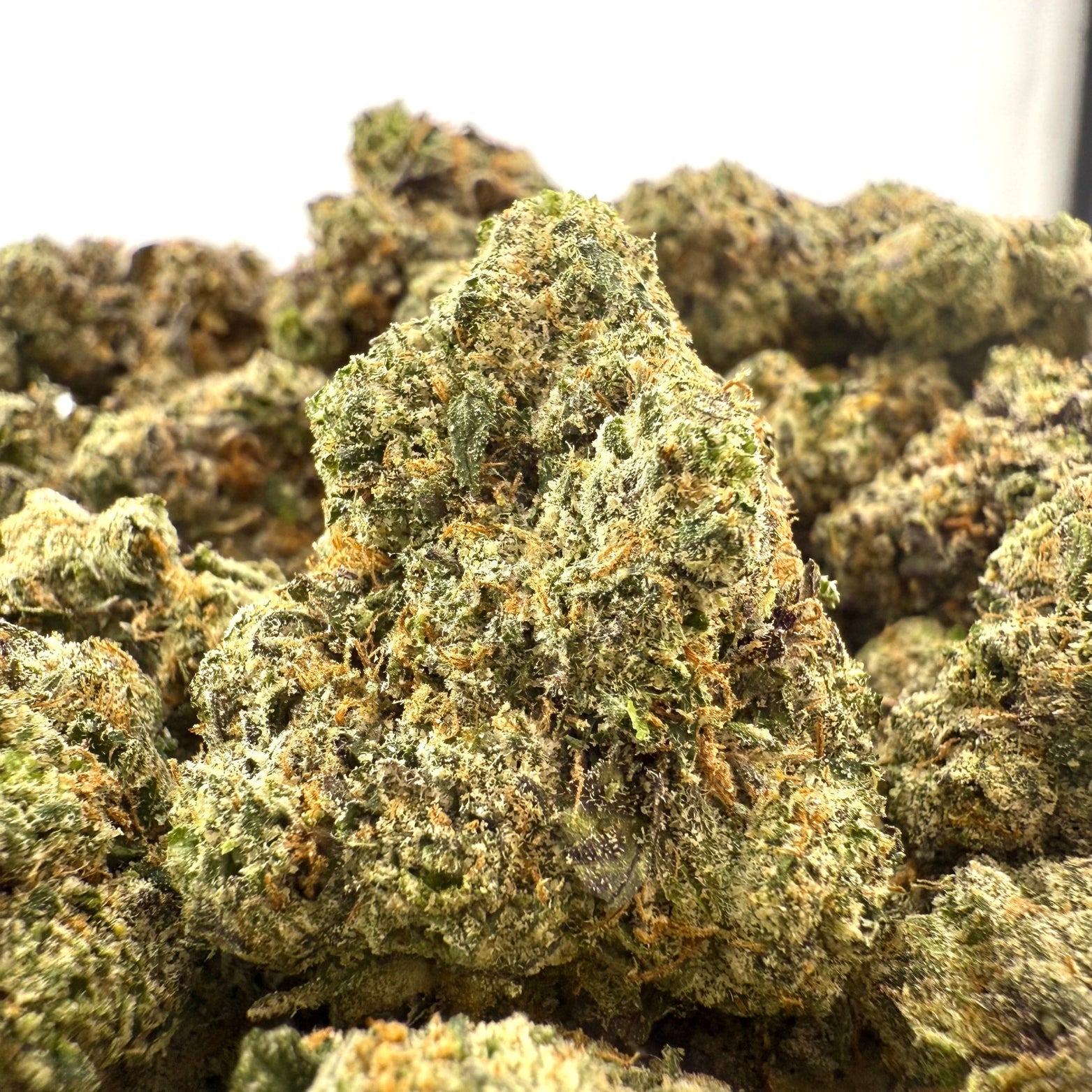 Lemon Cherry Gelato ( Wholesale ) - Valley Hemp