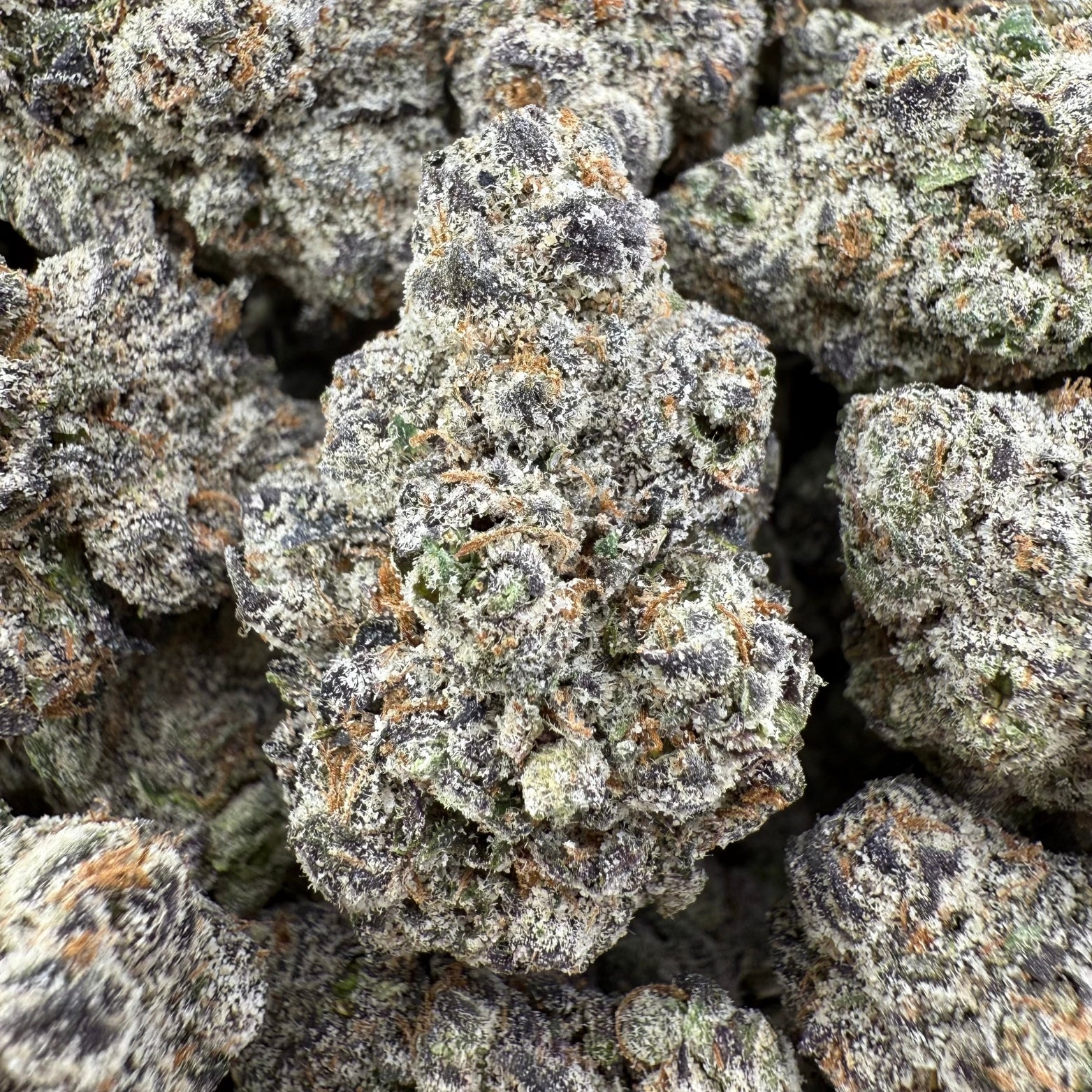 Mango Kush - THCa Valley