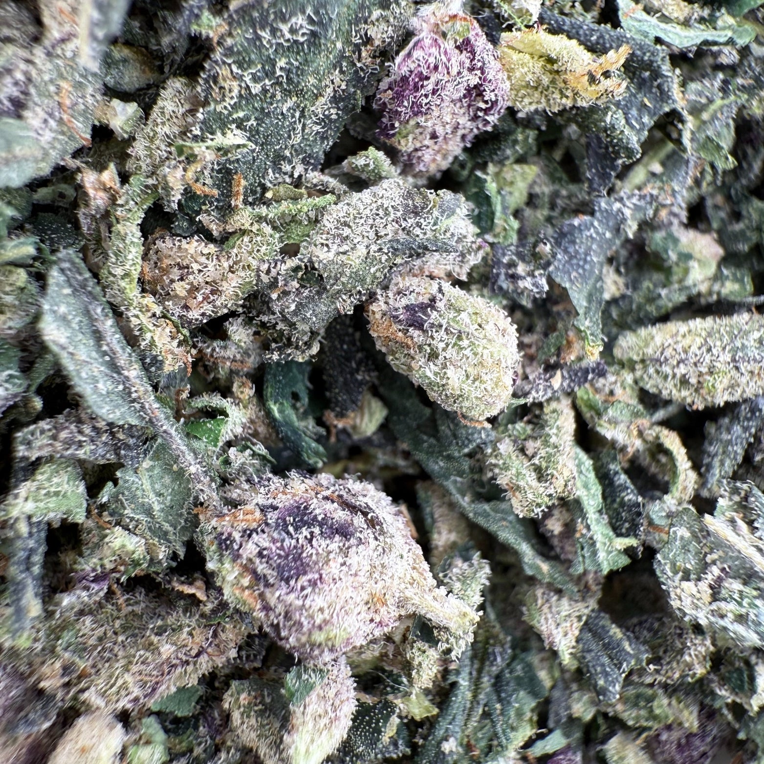 No 2. Ice Cream Cake THCa Shake Wholesale - VALLEY HEMP