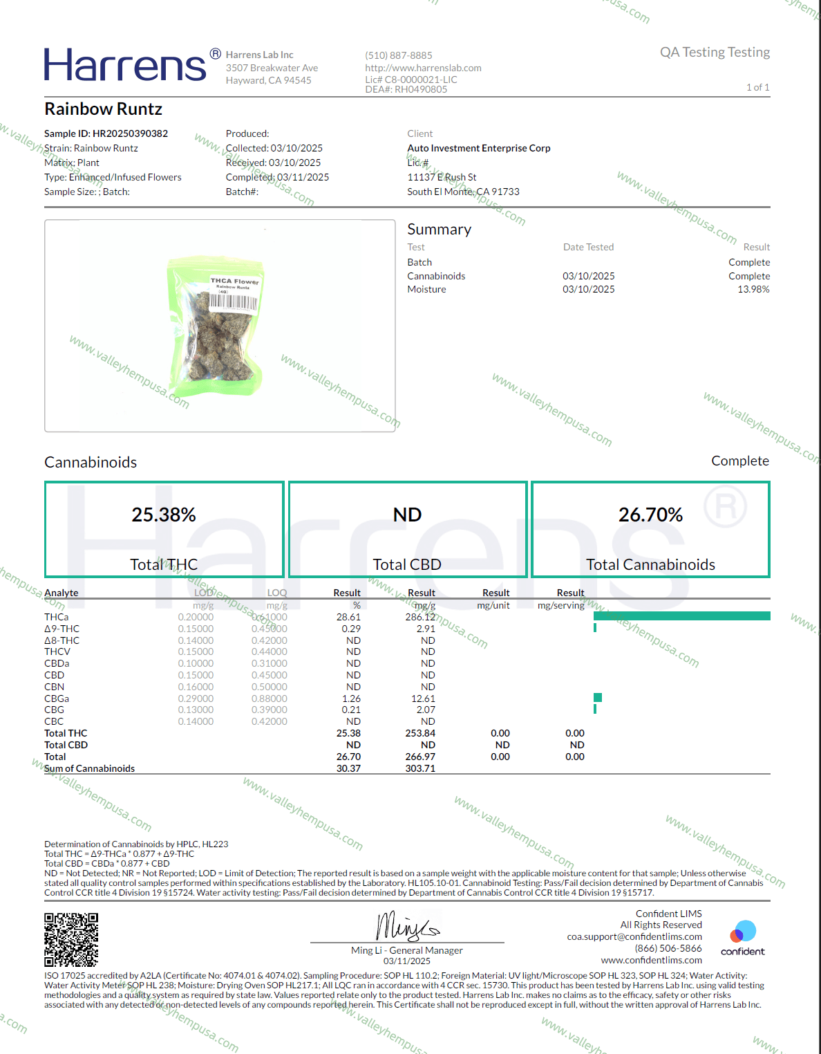 Rainbow Runtz ( Wholesale ) - VALLEY HEMP