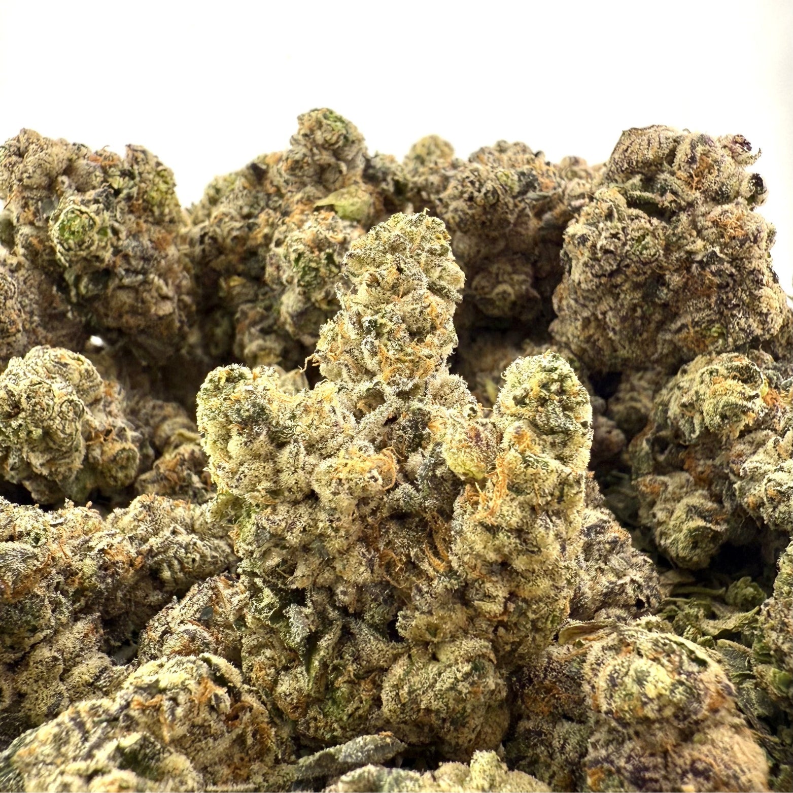 Rainbow Runtz ( Wholesale ) - VALLEY HEMP