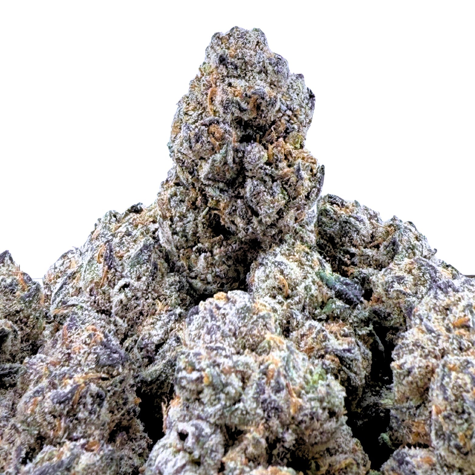 Zerowon Runtz ( Wholesale ) - Valley Hemp