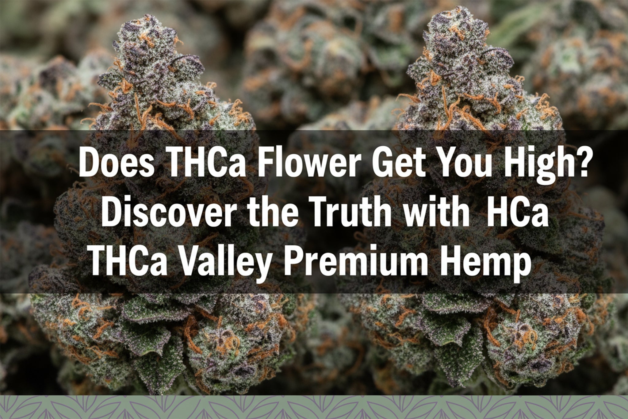 Does THCa Flower Get You High? Discover the Truth with THCa Valley Premium Hemp - Valley Hemp