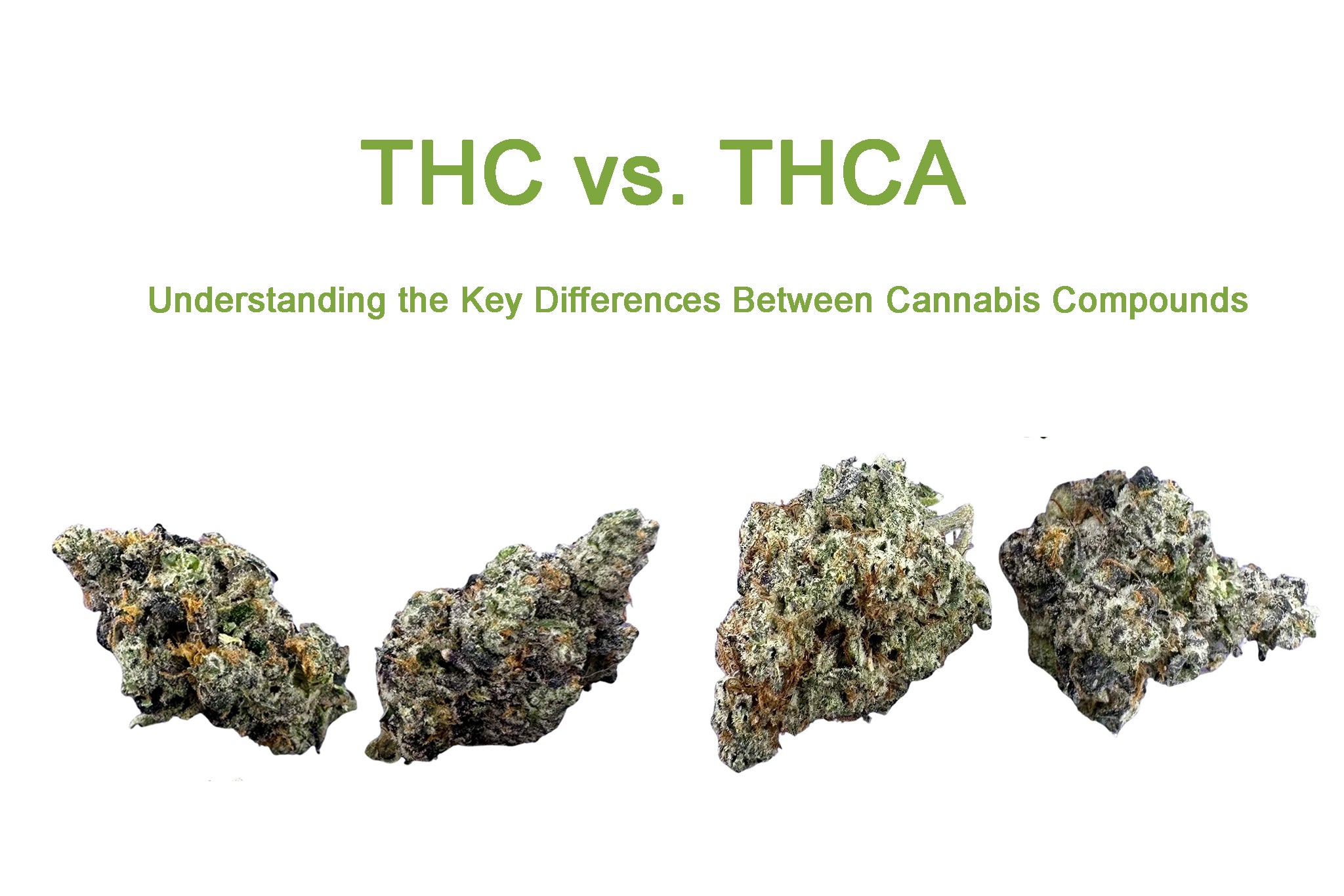 THC vs. THCA: Understanding the Key Differences Between Cannabis Compounds - Valley Hemp