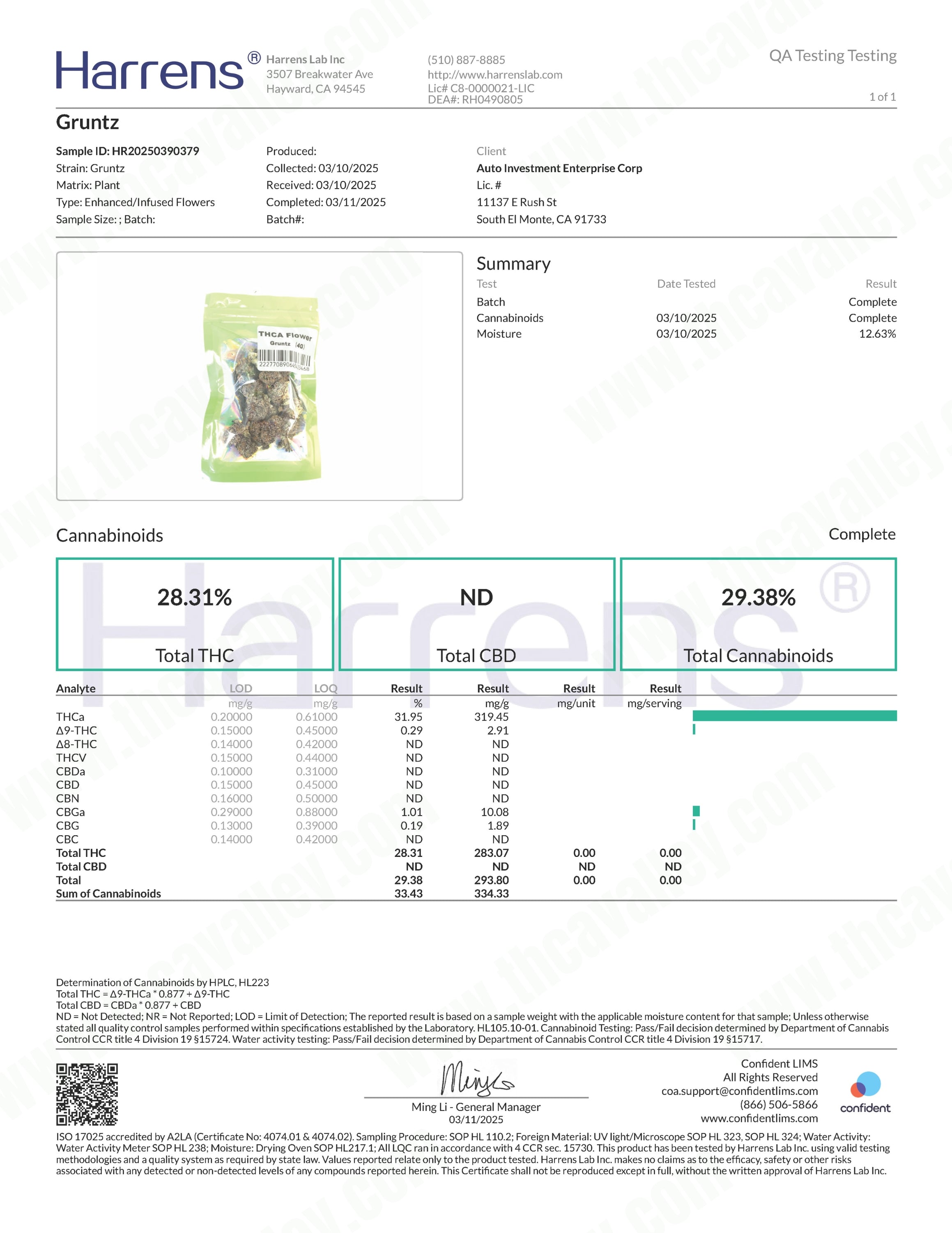 Exotic Gruntz (Wholesale)
