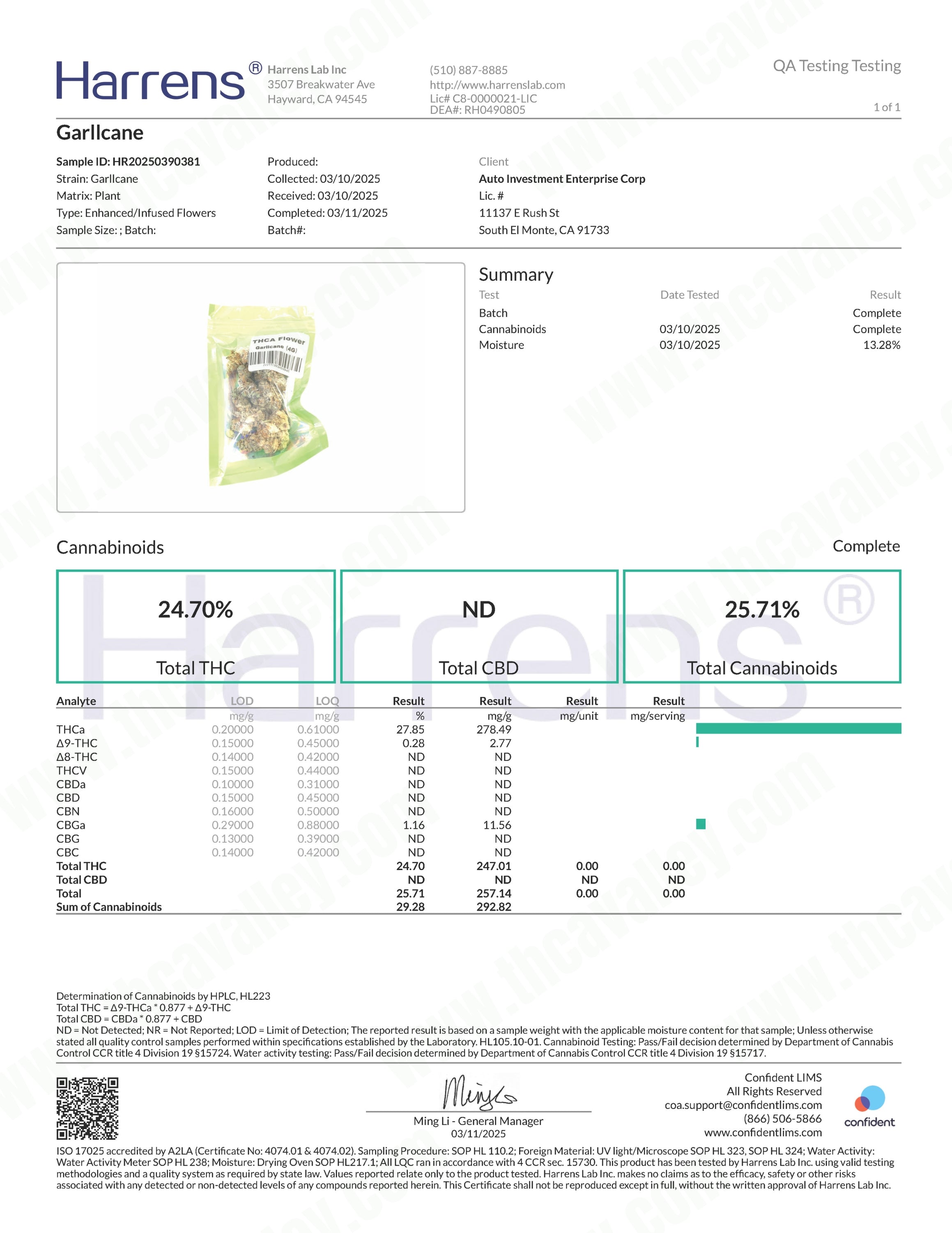 Garllcane (Wholesale)