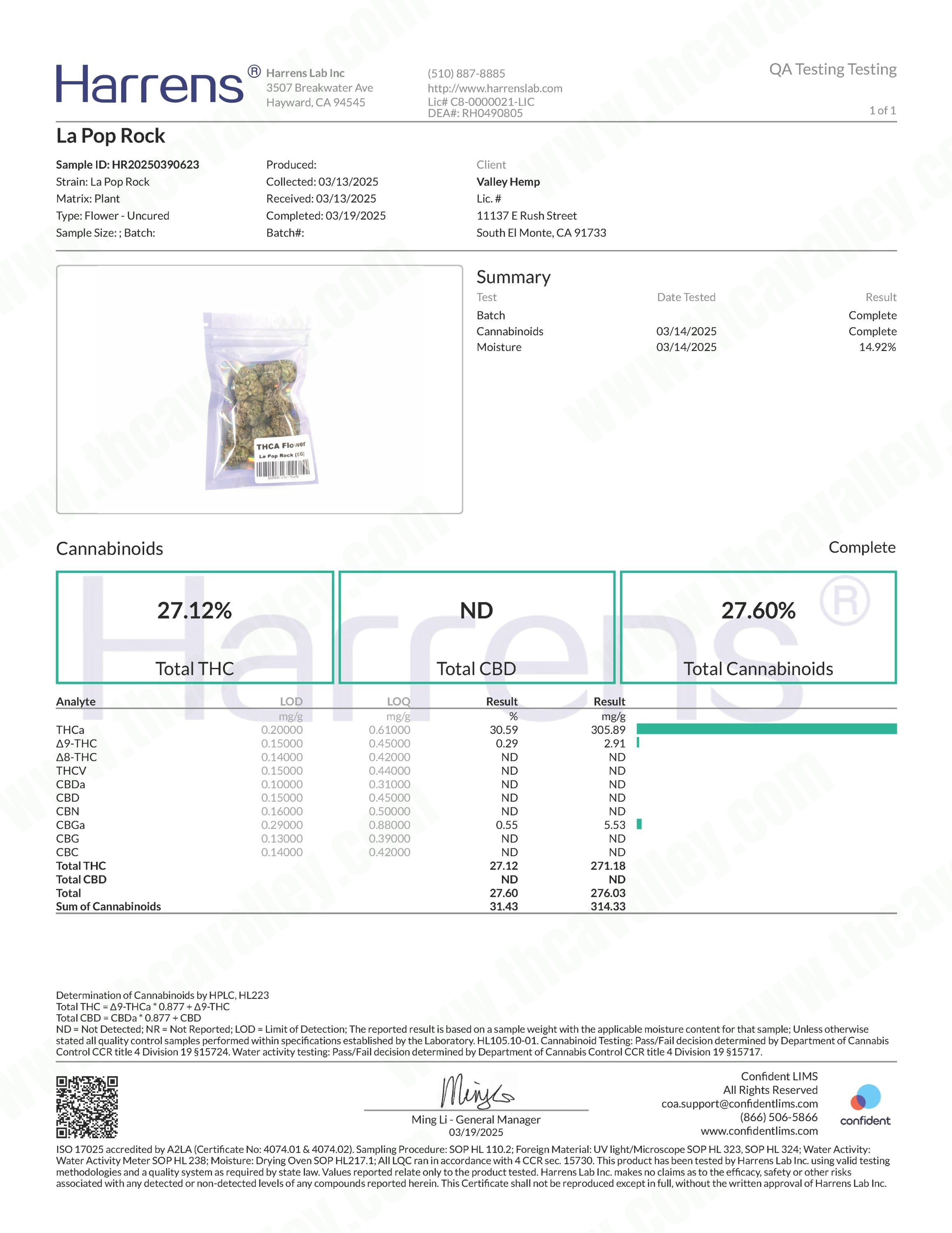 LA Pop Rock ( Wholesale )