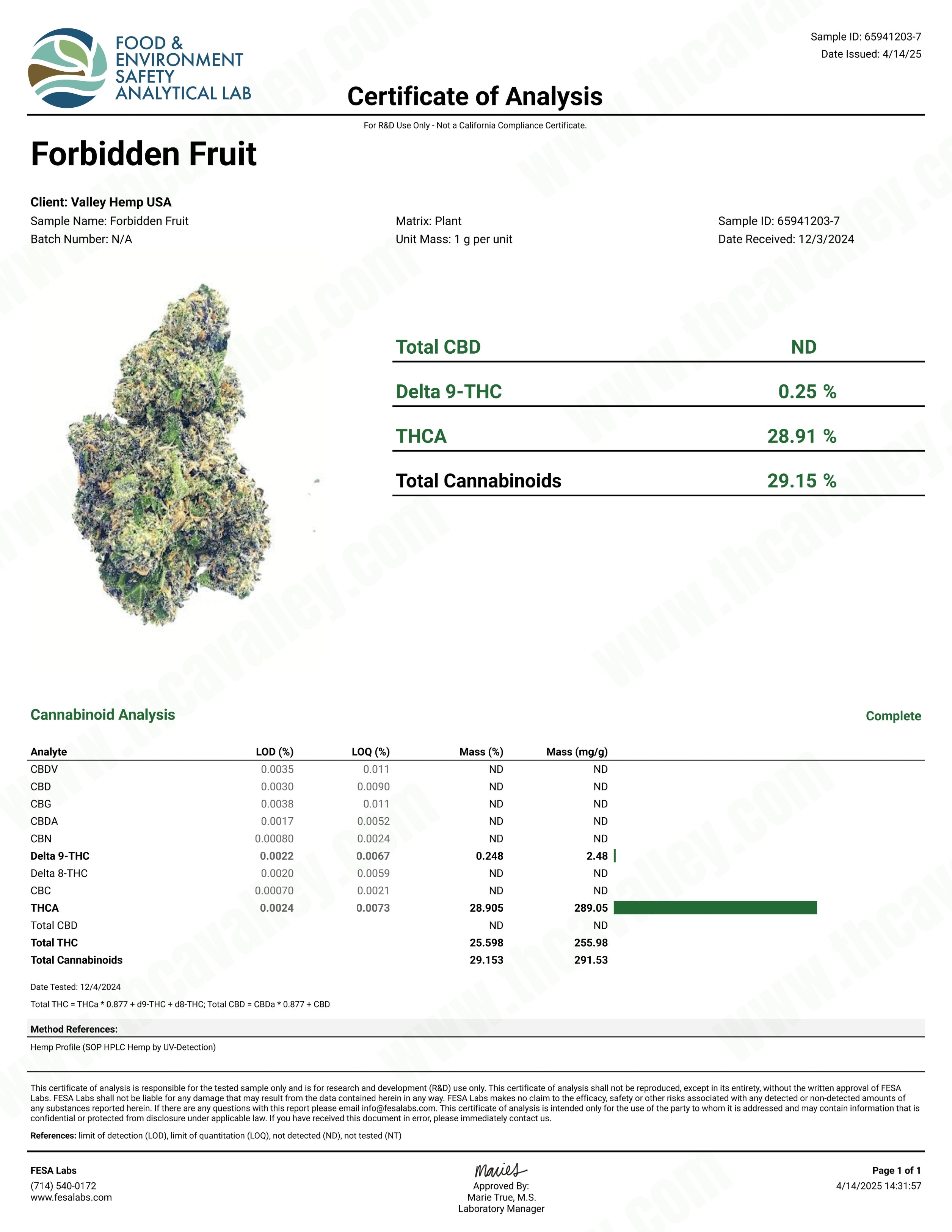 Forbidden Fruit