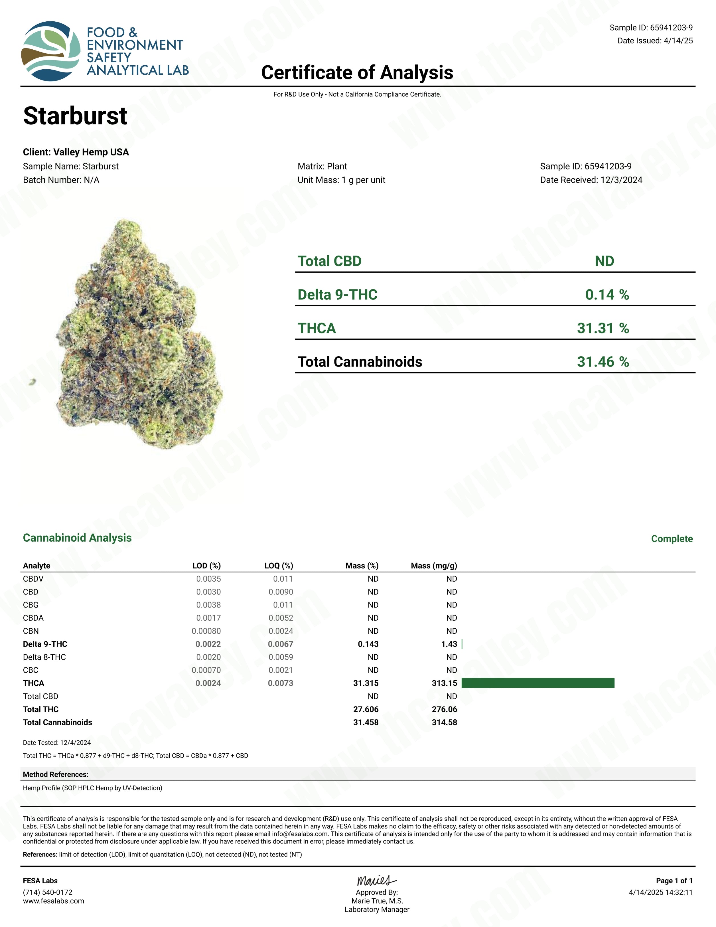 Starburst ( Wholesale )
