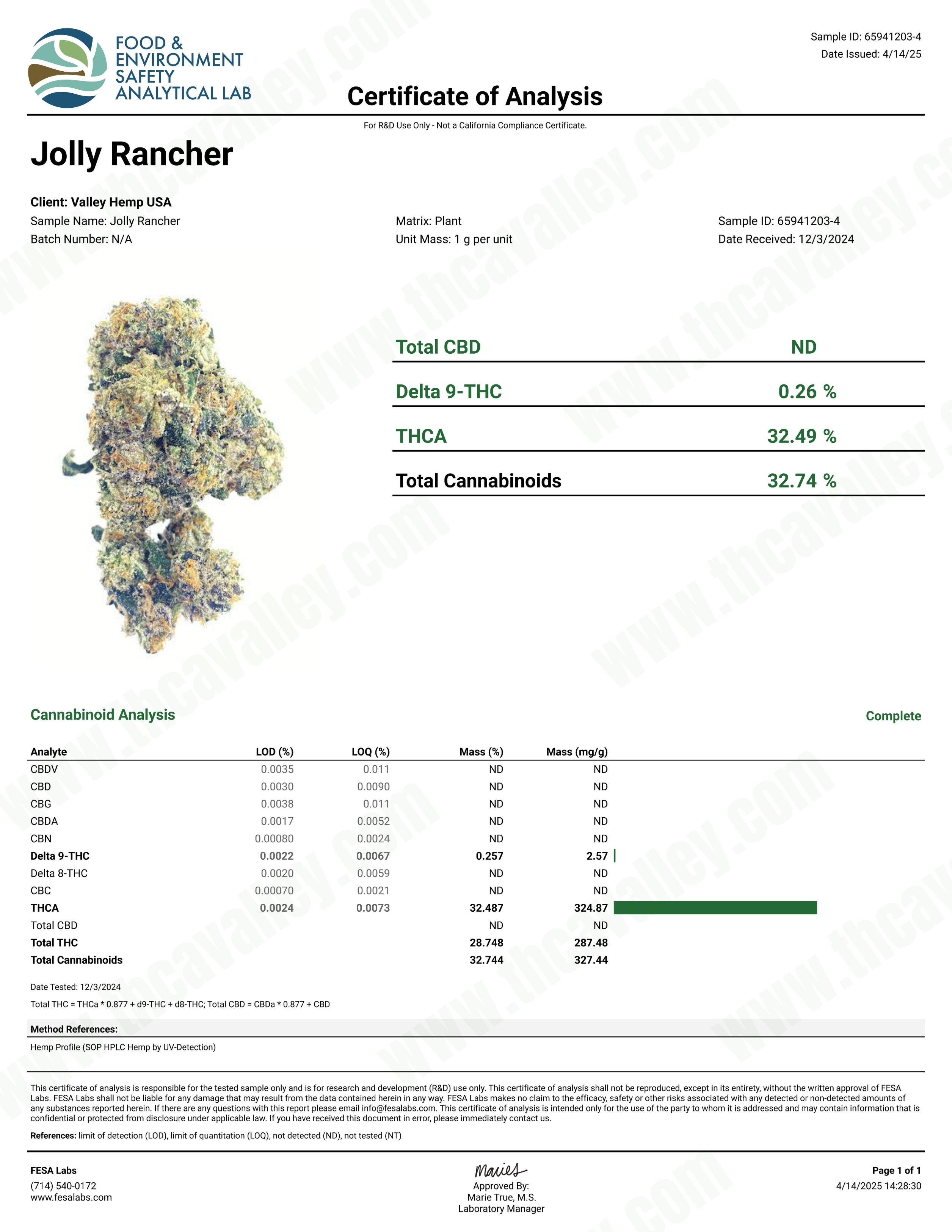 Jolly Rancher