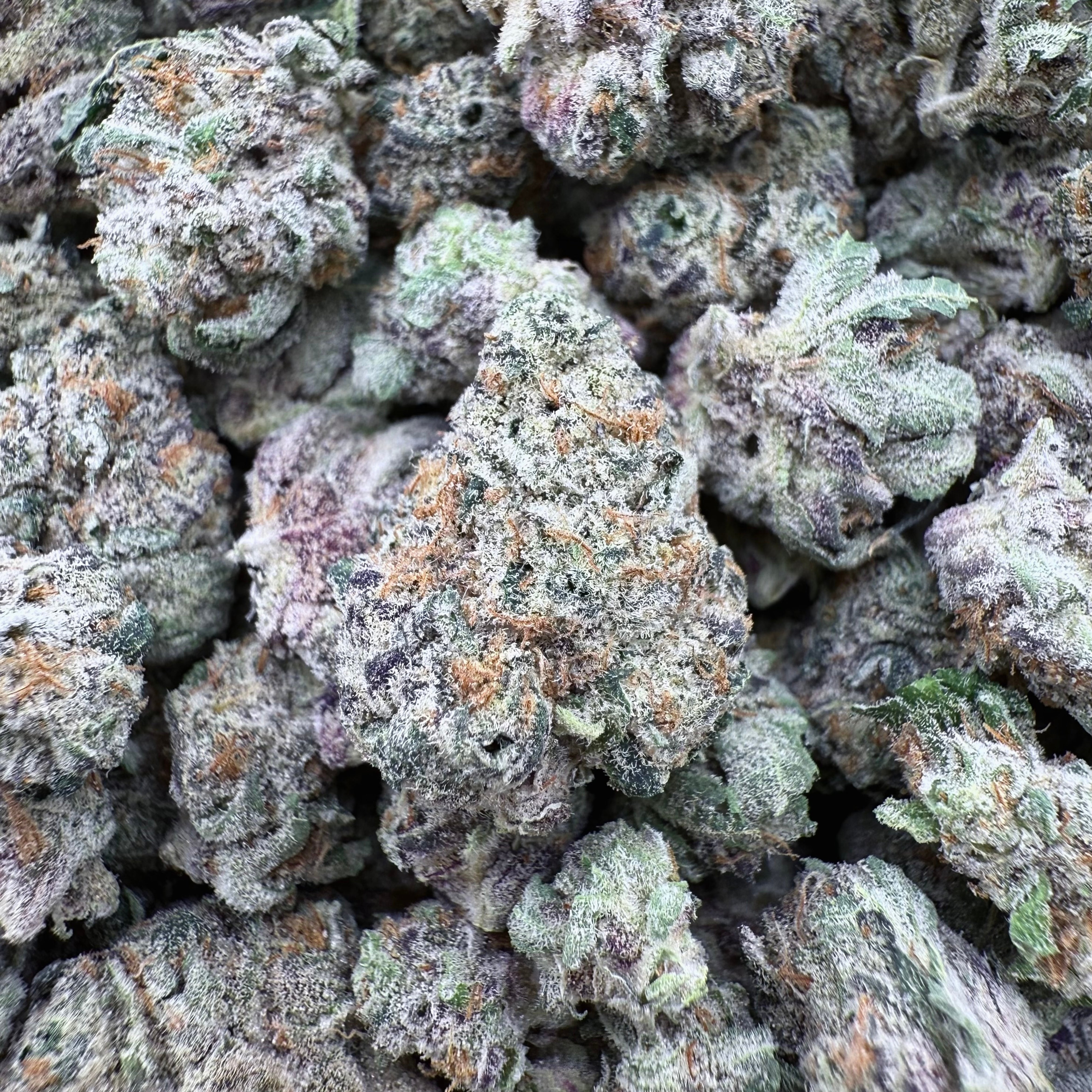 Amaretto Mintz THCa Smalls (Wholesale)