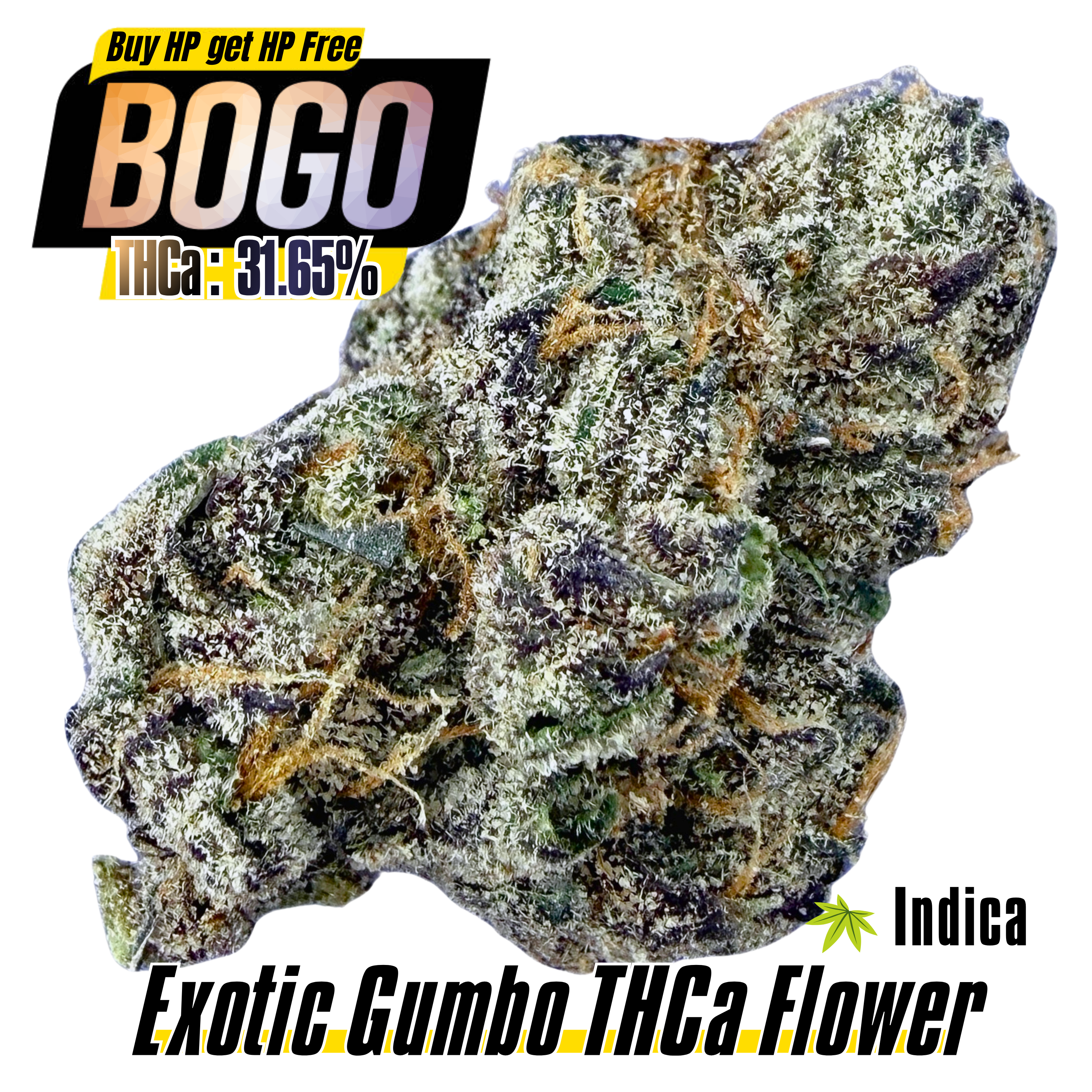 BOGO Bulk: Buy HP get HP🌿Exotic Gumbo