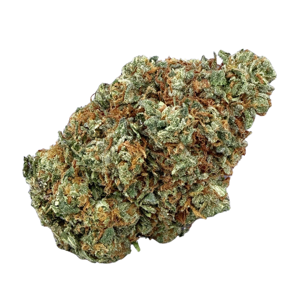 Bacio Gelato (Wholesale)