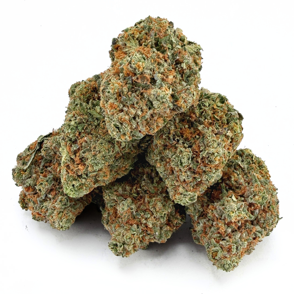 Bacio Gelato (Wholesale)