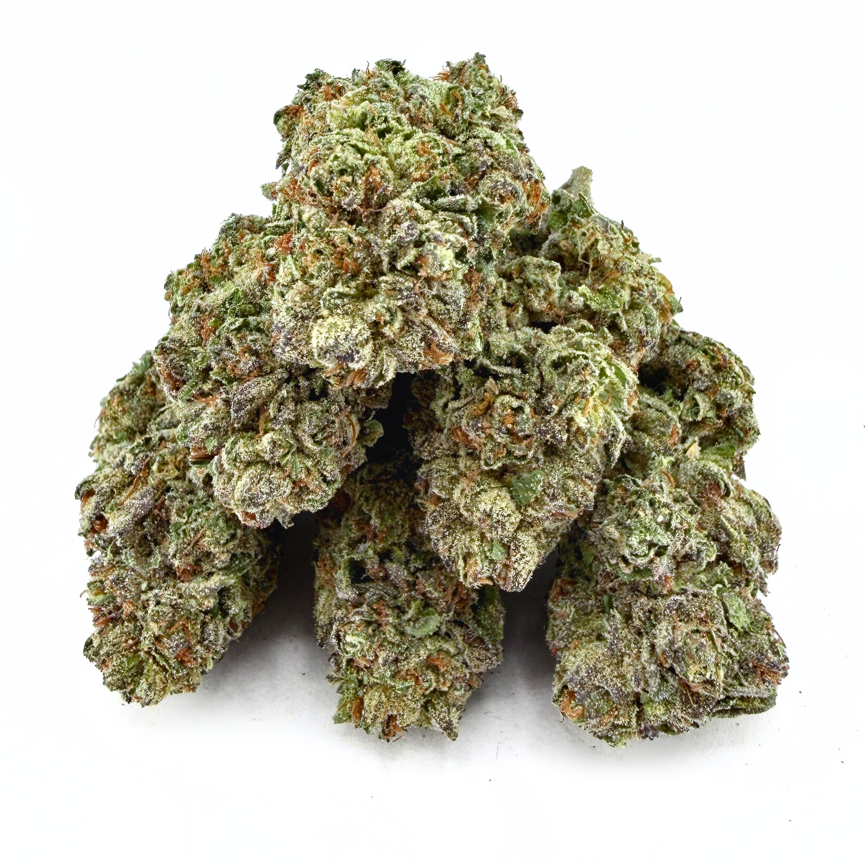 Birthday Cake (Wholesale)