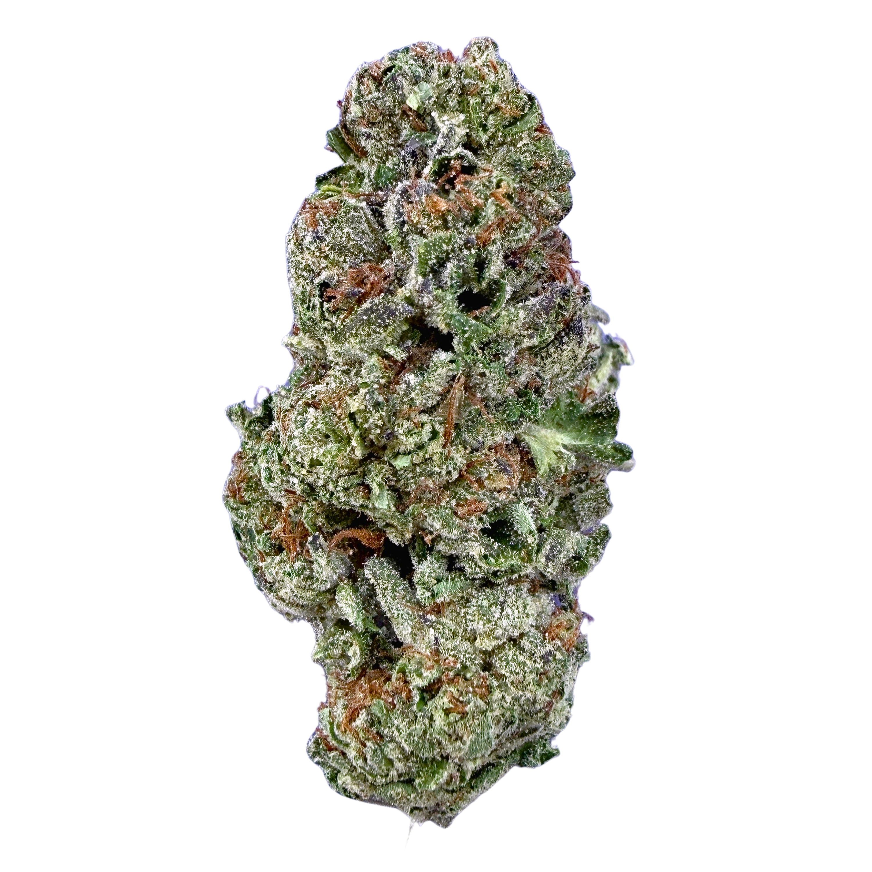 Birthday Cake (Wholesale)