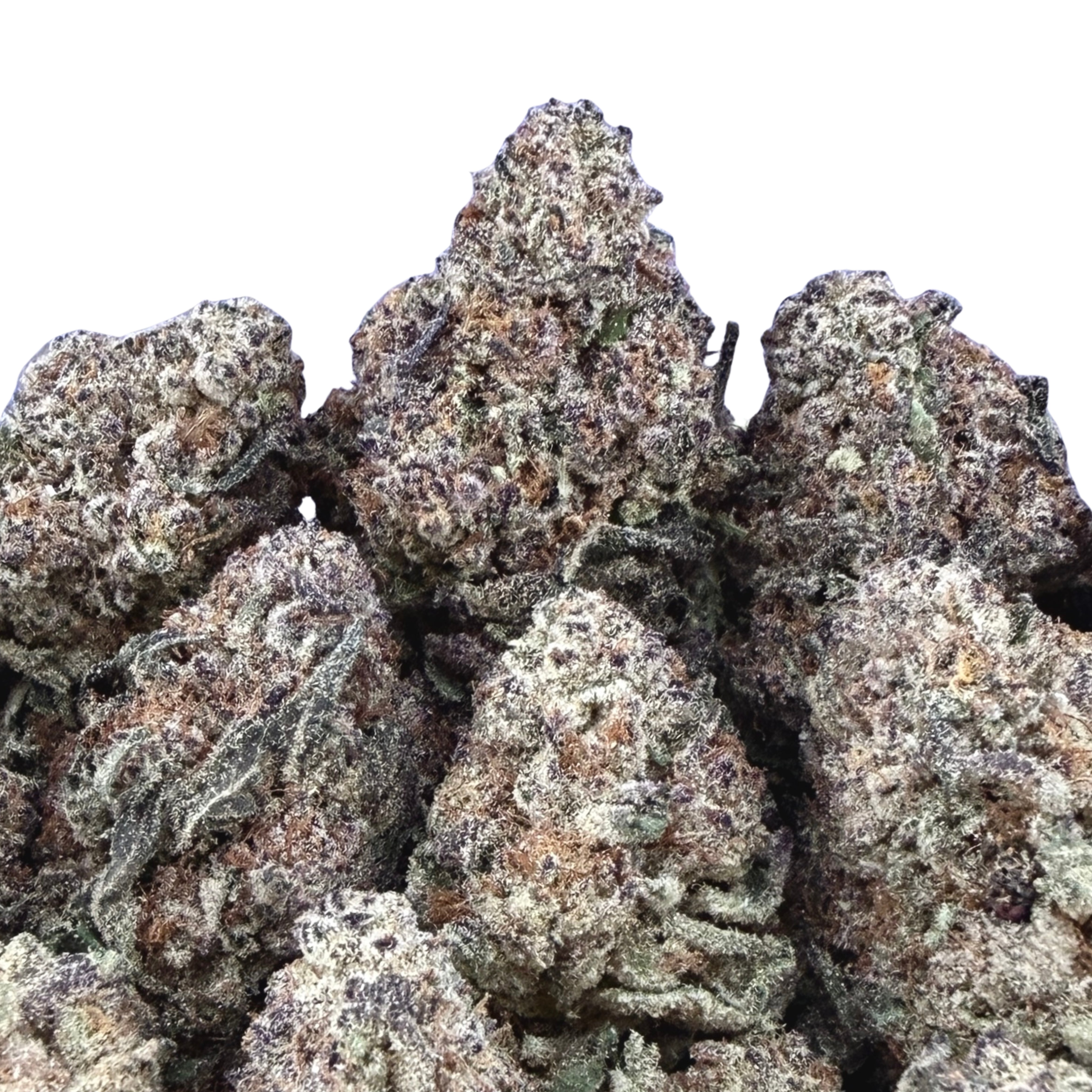 Birthday Cake ( Wholesale )