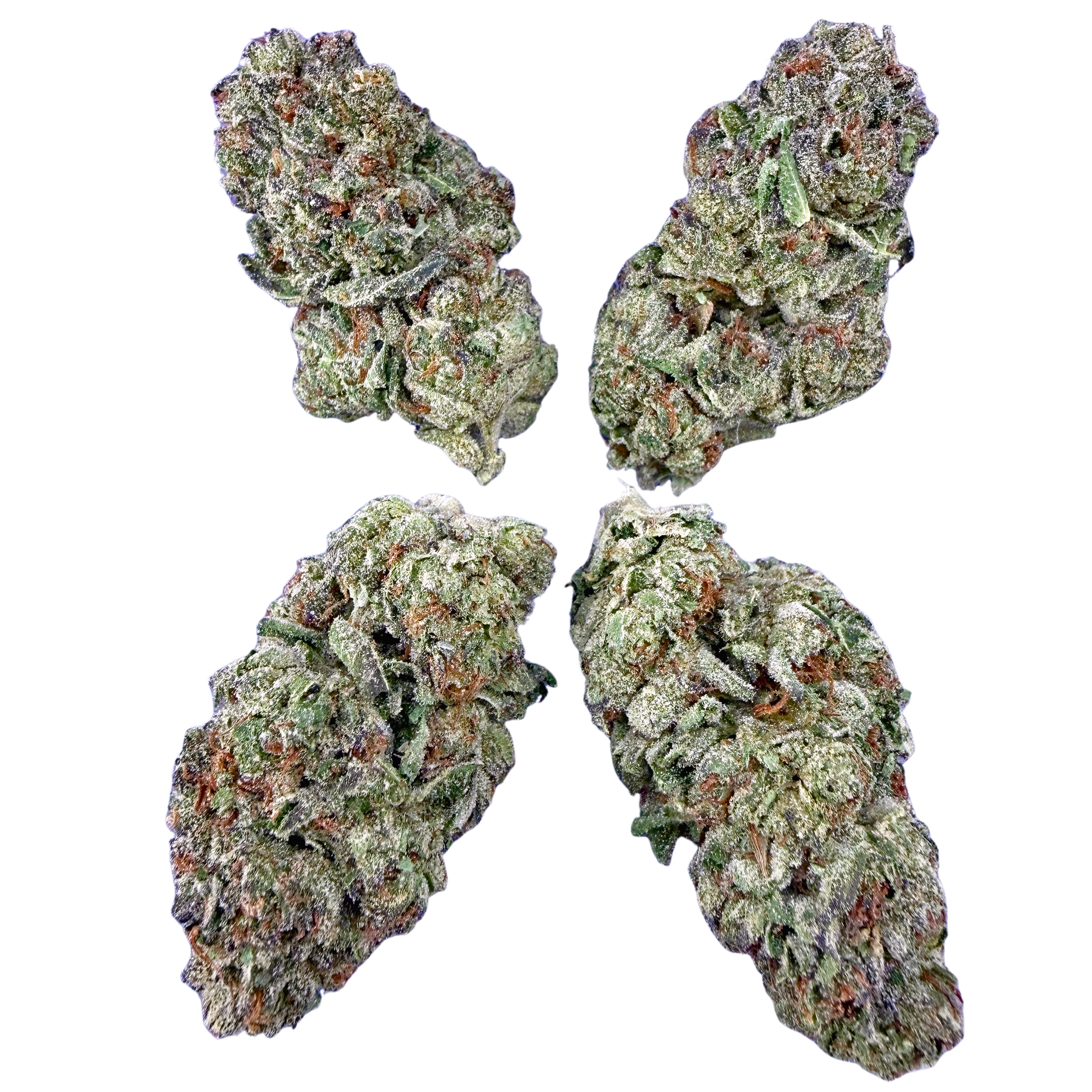 Birthday Cake (Wholesale)