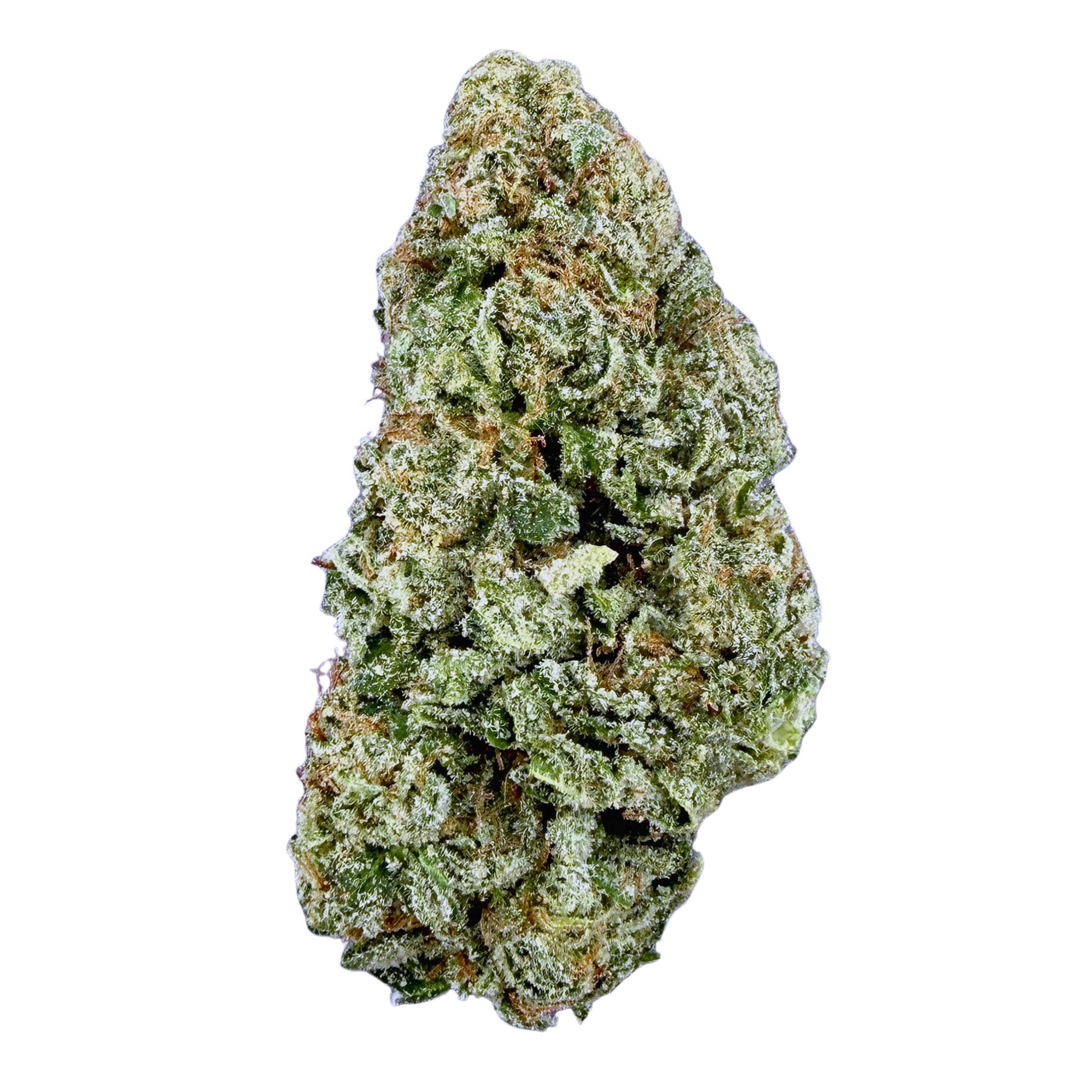 Biscotti (Wholesale)