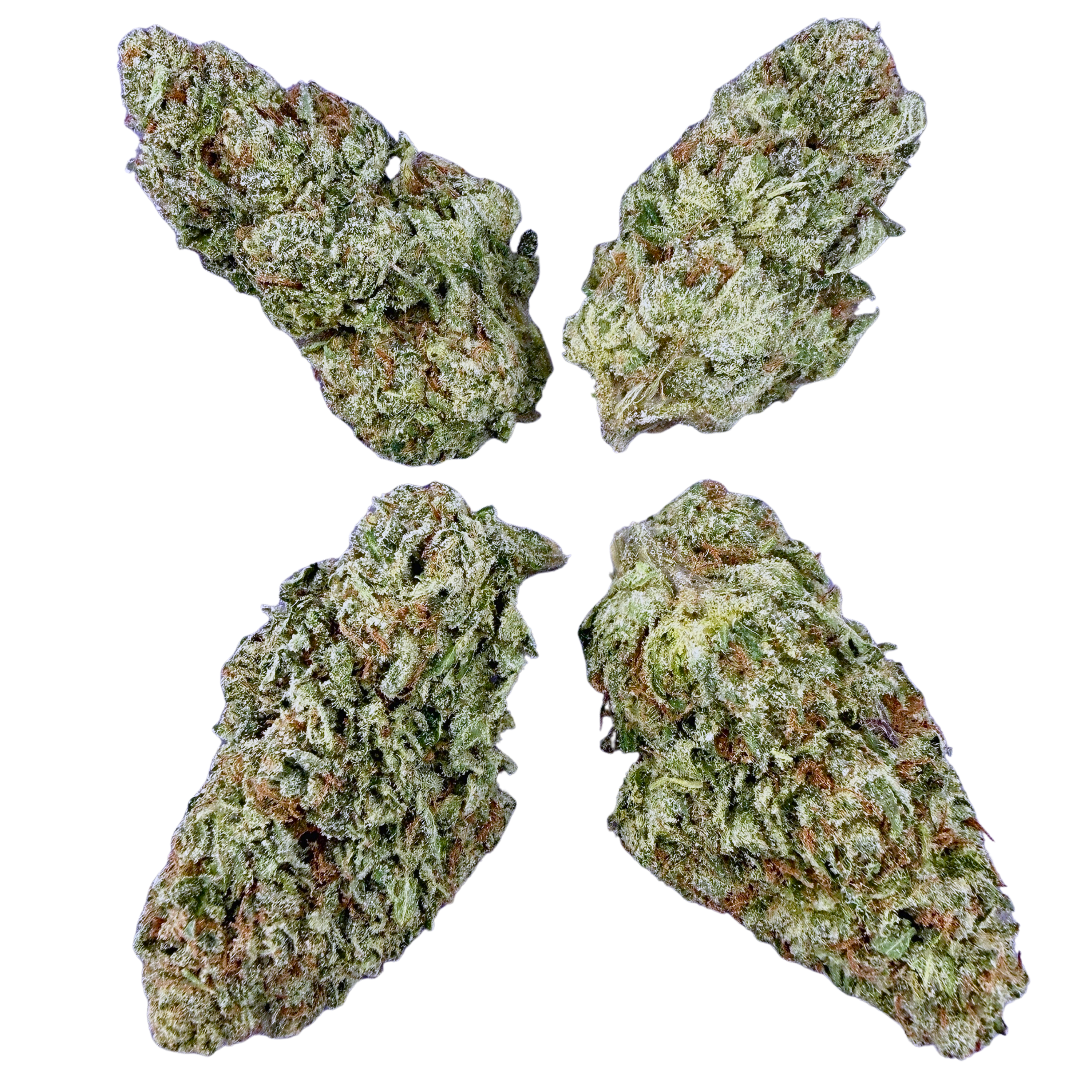 Biscotti (Wholesale)