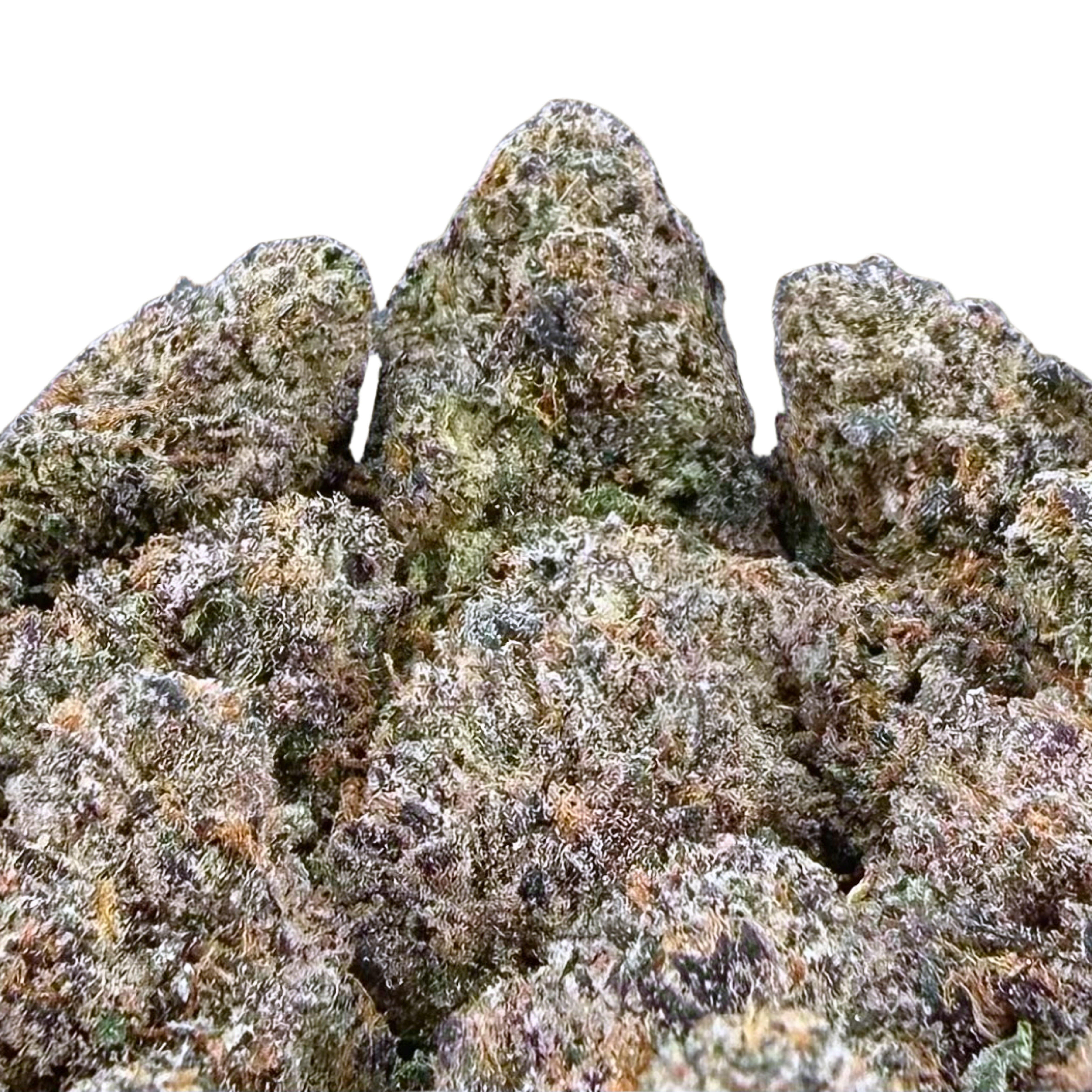 Black Cherry Gelato
