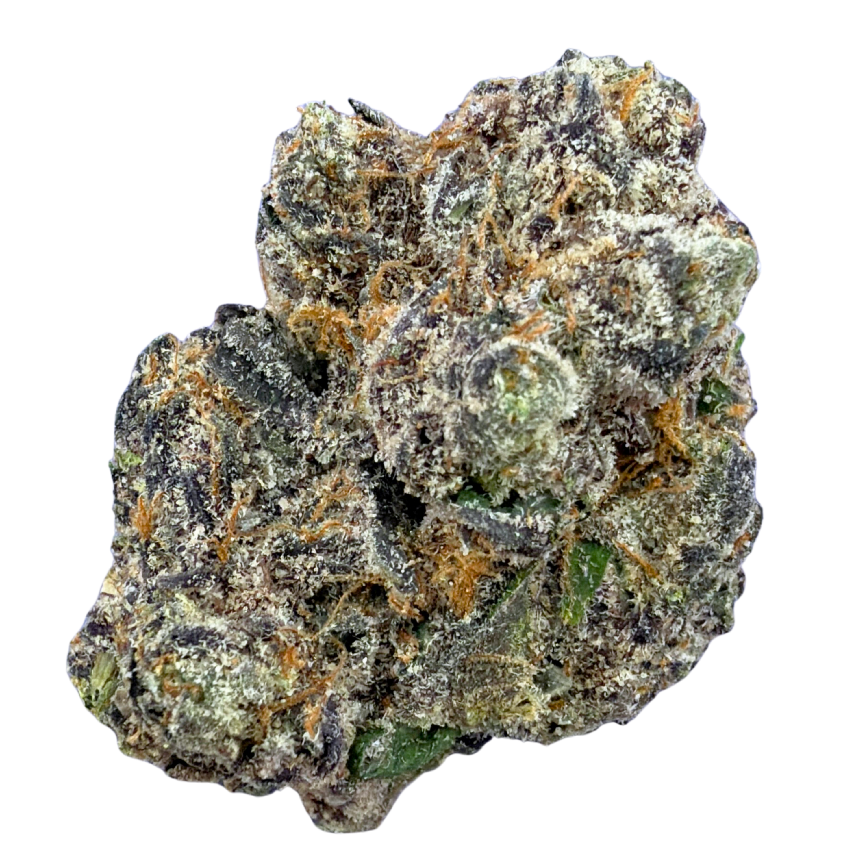 Exotic Black Cherry Gelato
