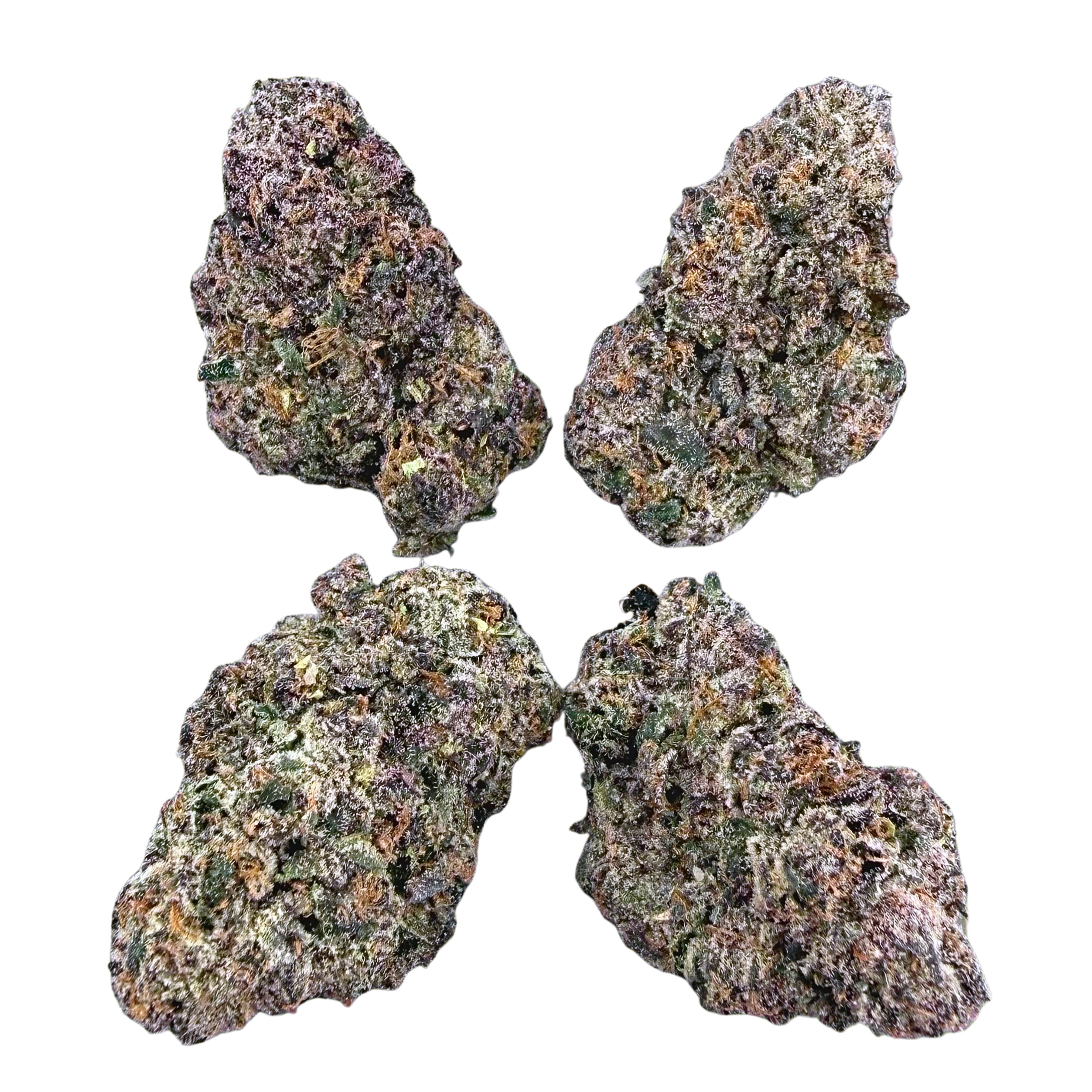 Black Cherry Gelato