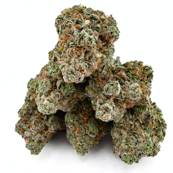Black Cherry Gelato