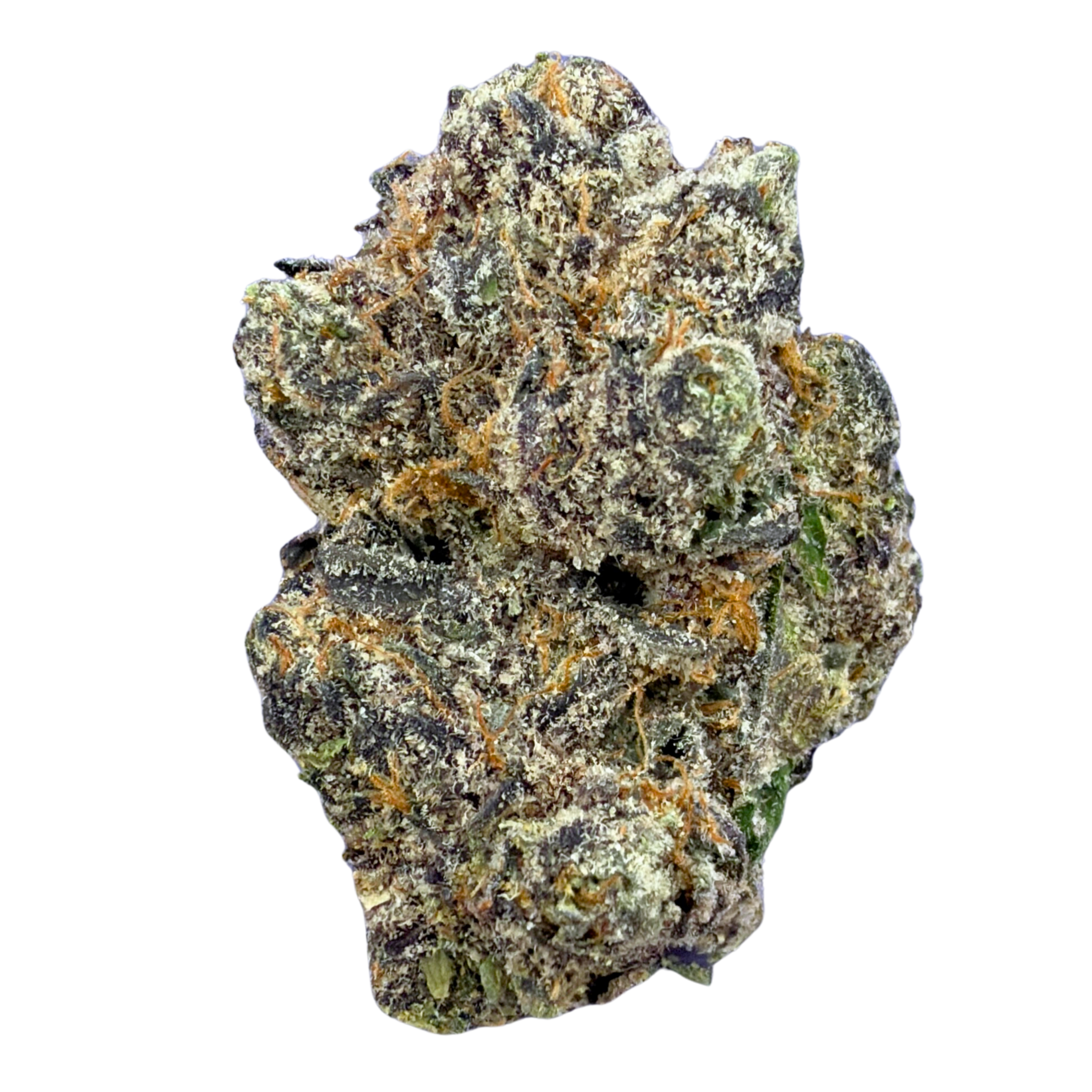 Exotic Black Cherry Gelato