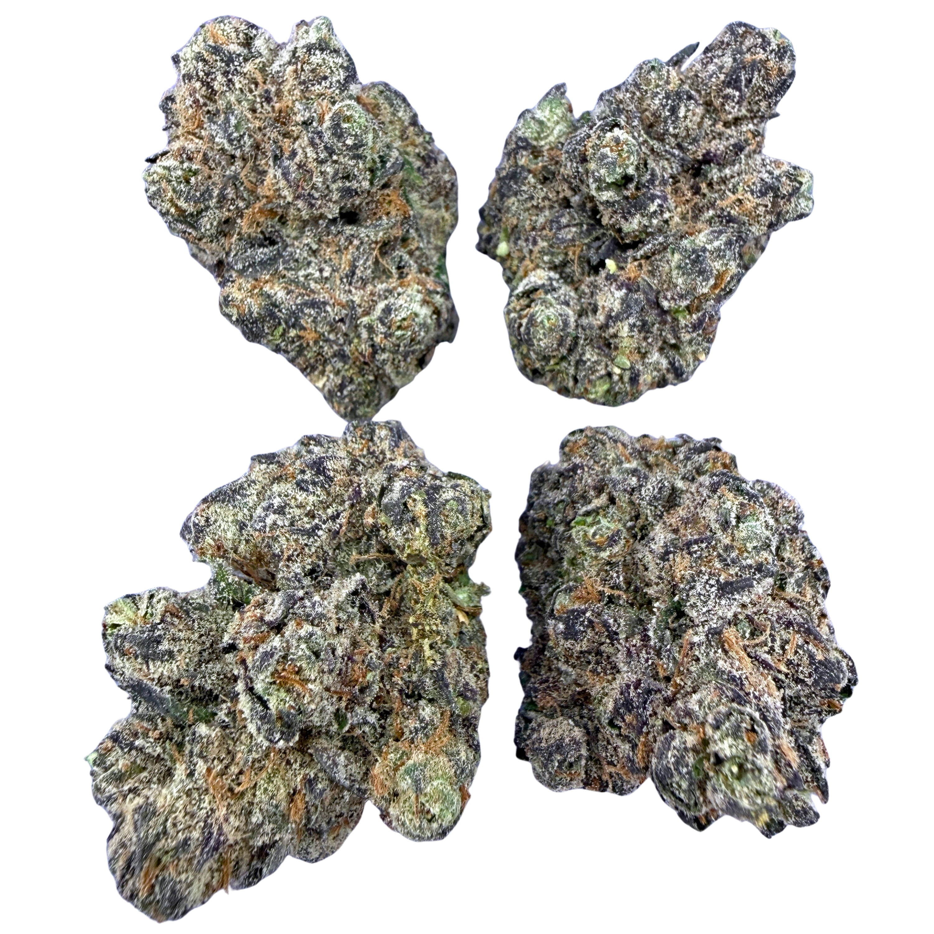 Exotic Black Cherry Gelato