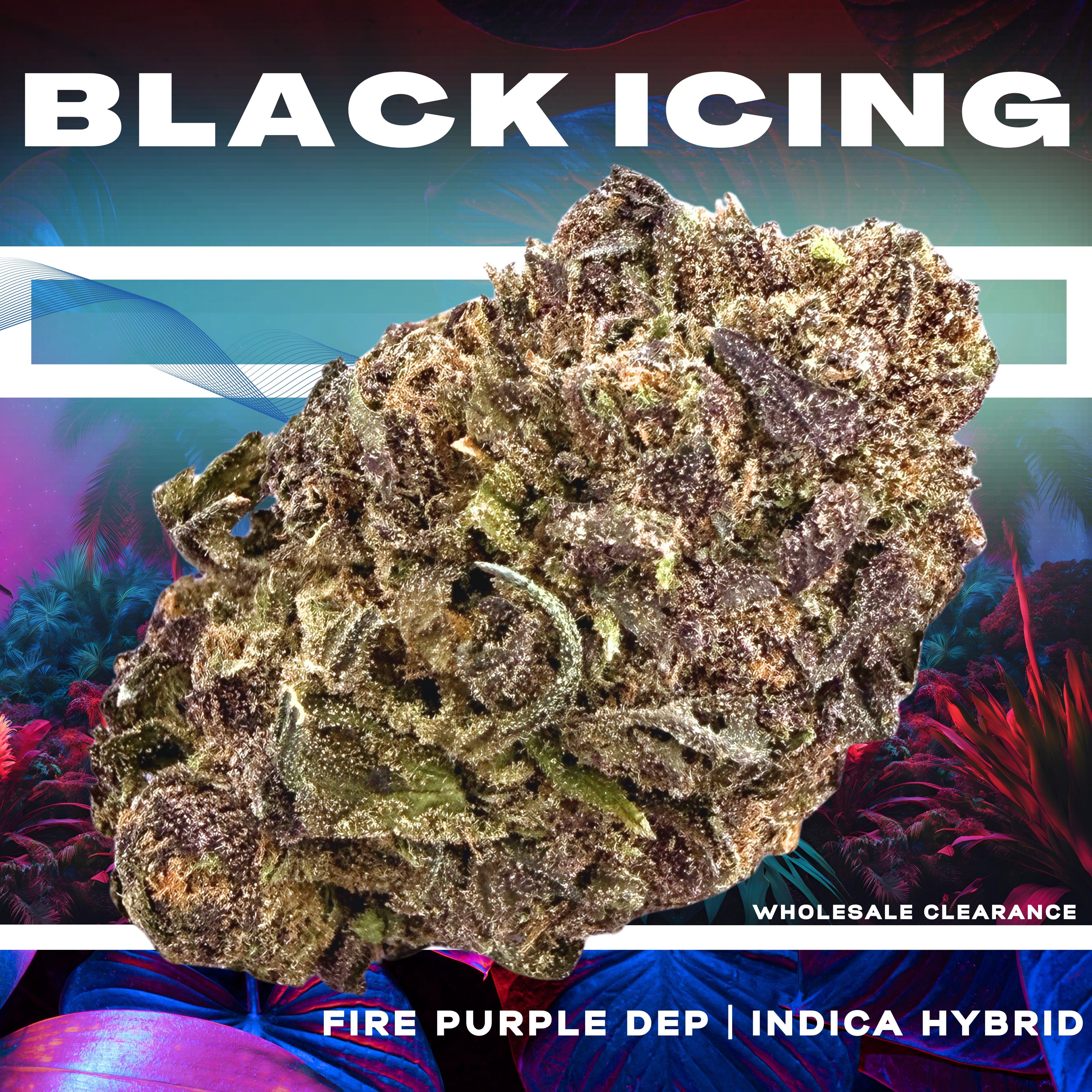 Black Icing  (Wholesale Clearance)