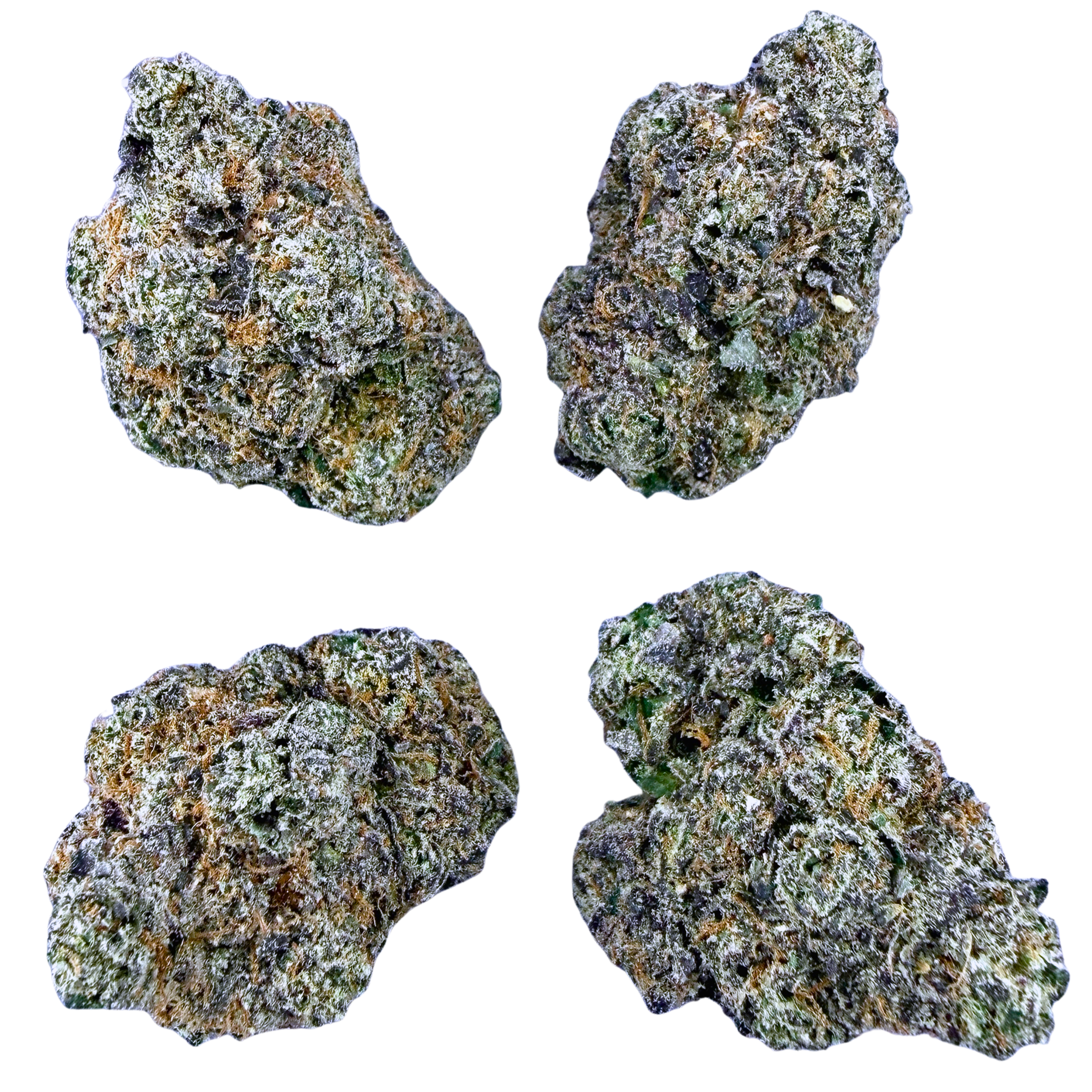Bubblegum