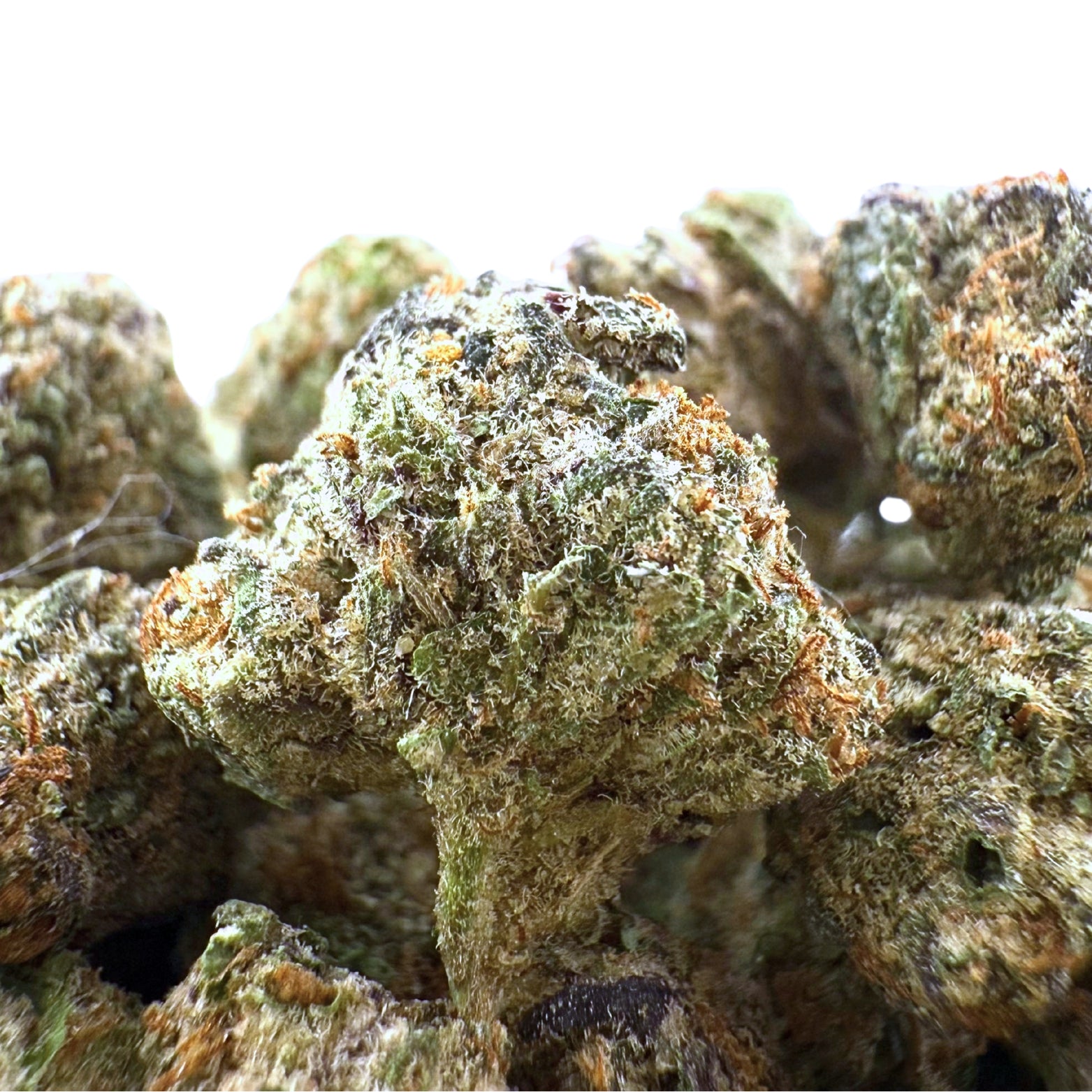 Cali Gas THCa Smalls (Wholesale)