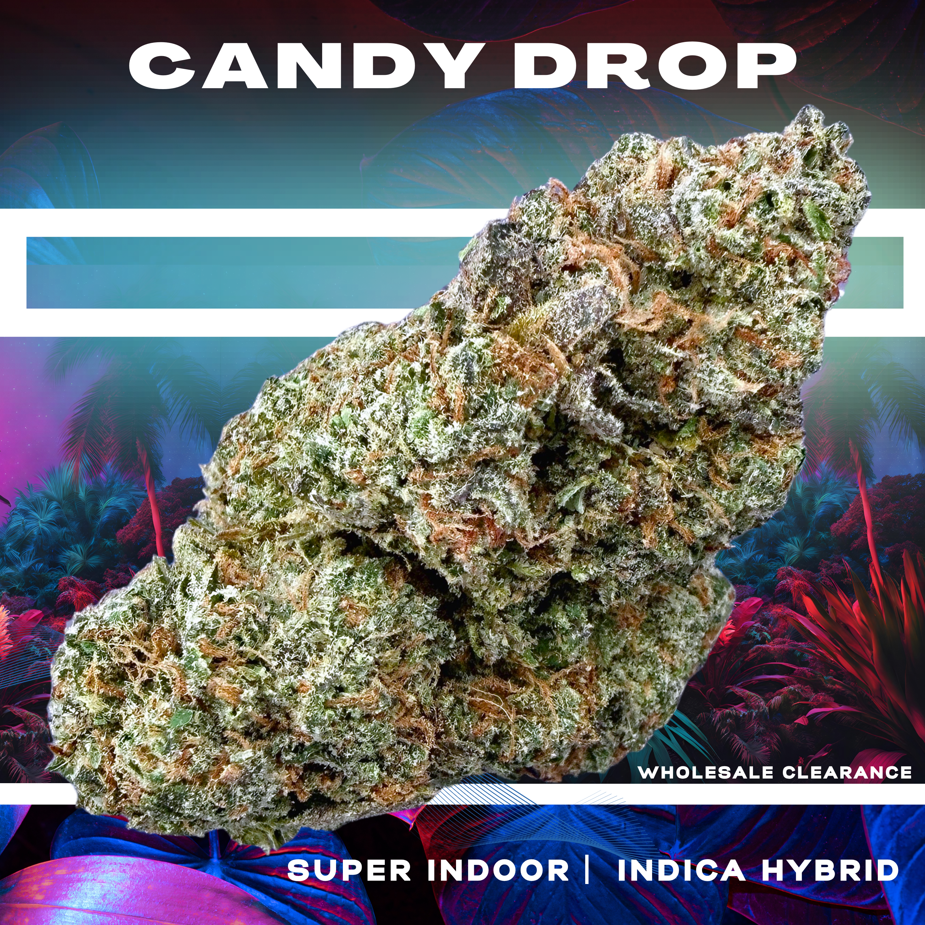 Candy Drop (Wholesale Clearance)