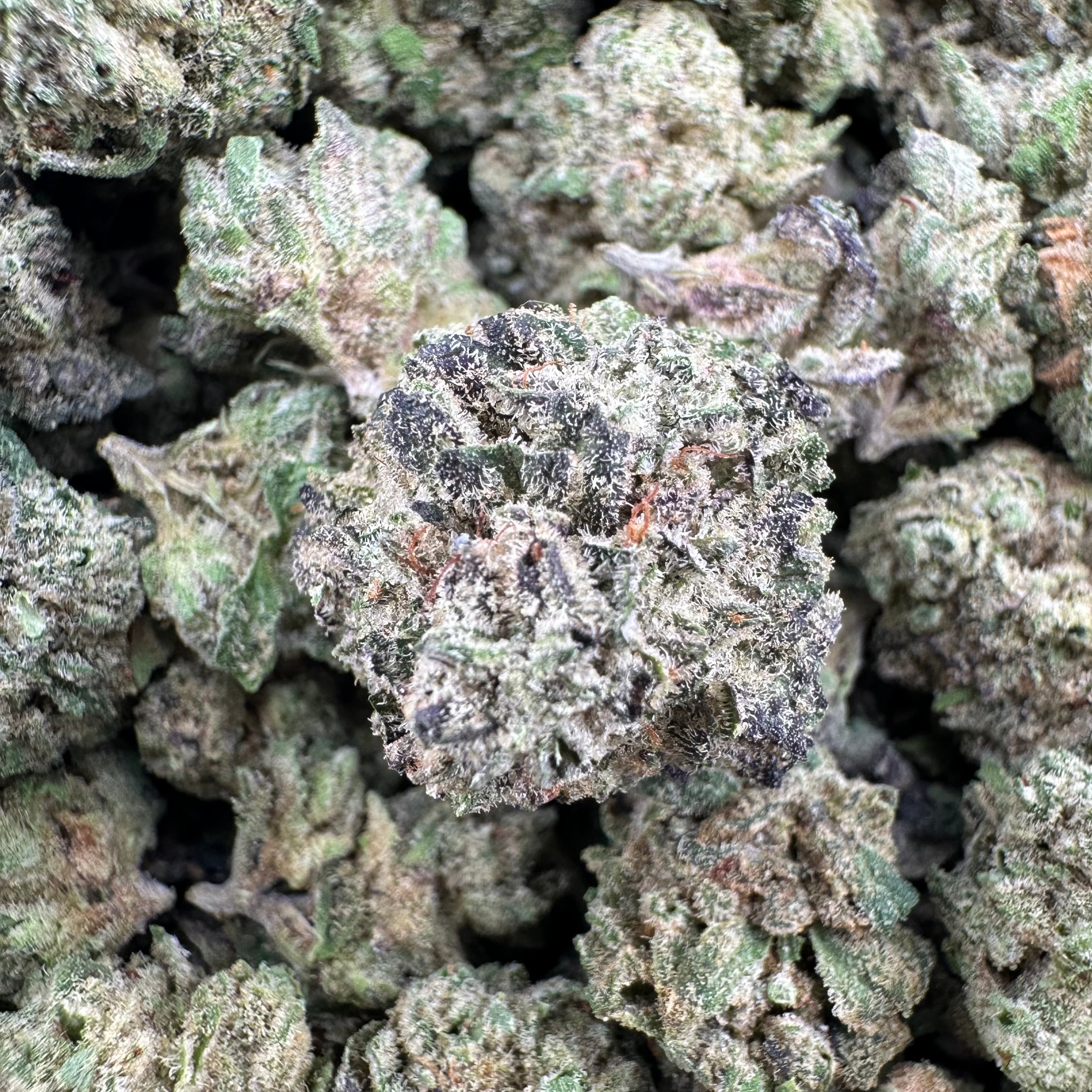 Cheetah Piss THCa Smalls (Wholesale)