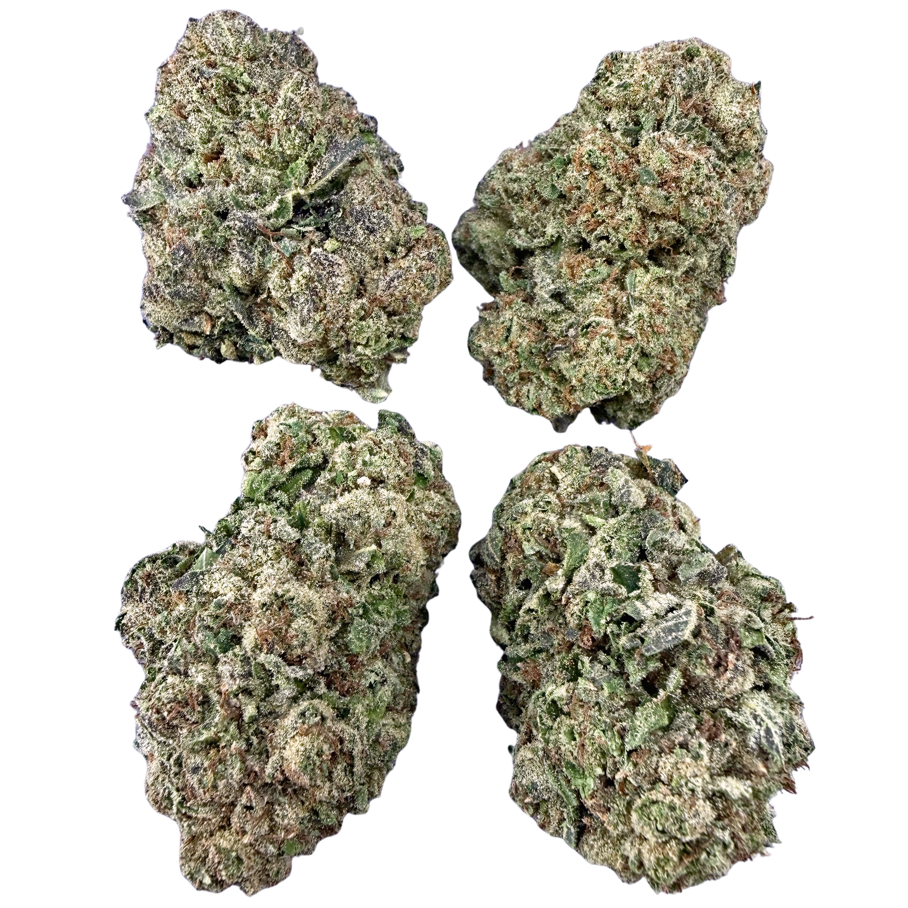 Citrus Berry (Wholesale)
